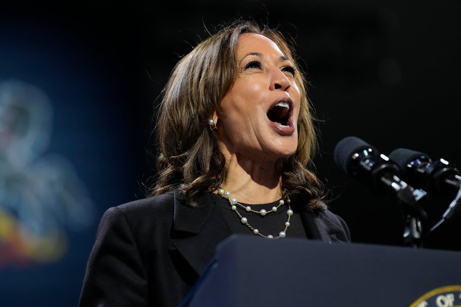 Democratic presidential nominee Vice President Kamala Harris speaks during a campaign rally at Erie Insurance Arena, in Erie, Pa., Monday, Oct. 14, 2024. (AP Photo/Jacquelyn Martin)