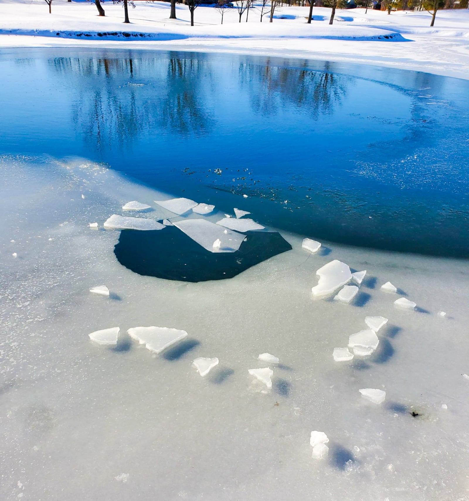 Butler County Sheriff's deputy Evan Depew, who is trained in emergency response services, pulled a Liberty Twp. woman and dog to safety after the dog fell into a frozen pond and the woman went in after it. CONTRIBUTED