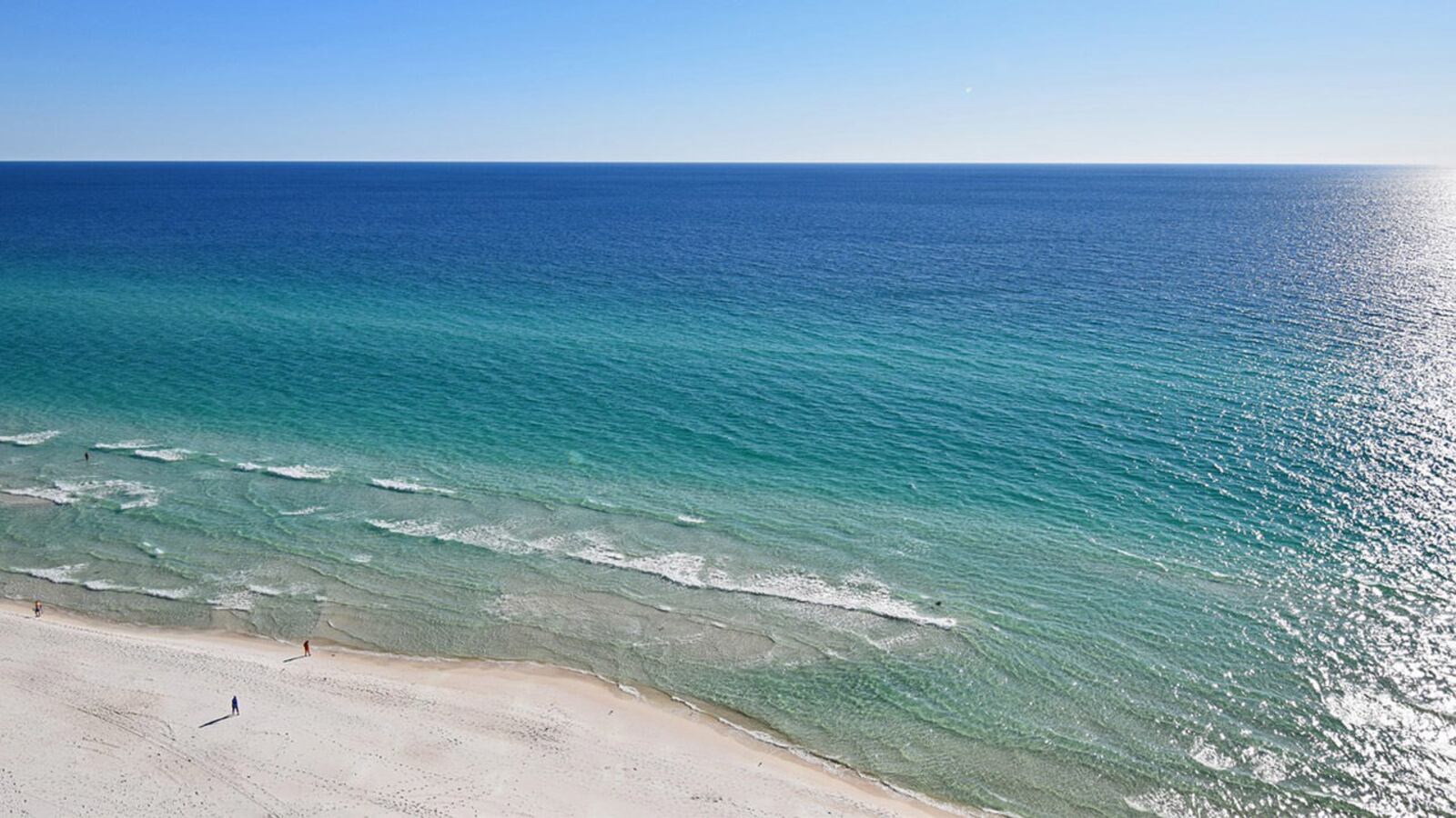 A Florida woman developed flesh-eating bacteria after nicking her shin June 10 in a fall at a beach along the Gulf of Mexico. She died last week from the bacterial infection.