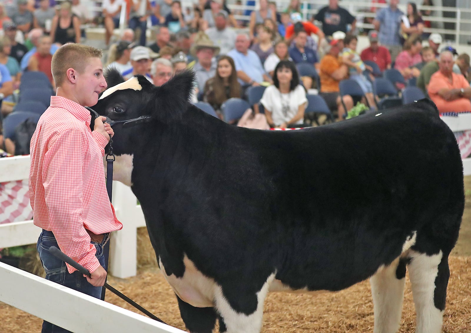 Drew Weymouth, 16, auctions off his Grand Champion Steer on Friday during the Jr. Fair Auction at the Clark County Fair. BILL LACKEY / STAFF