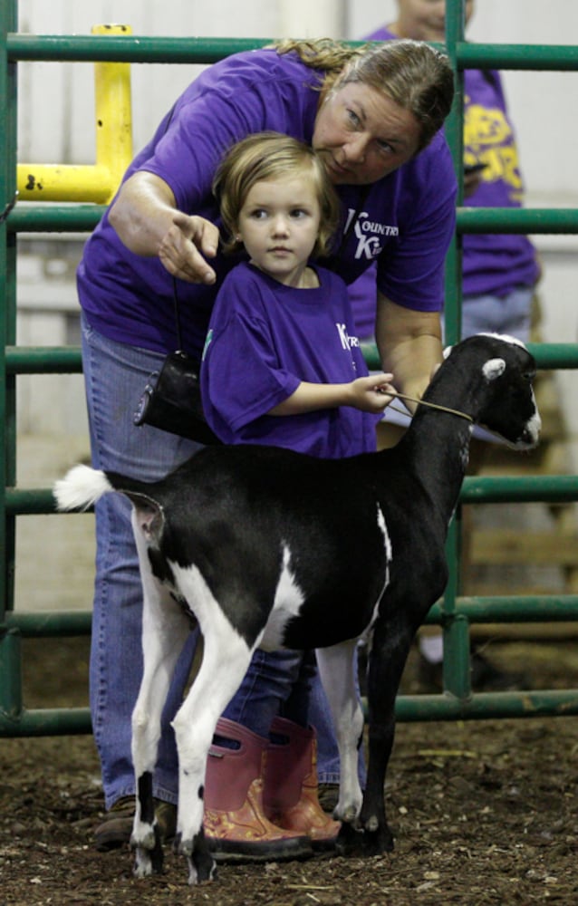 Pee Wee Goat Showmanship - Clark County Fair