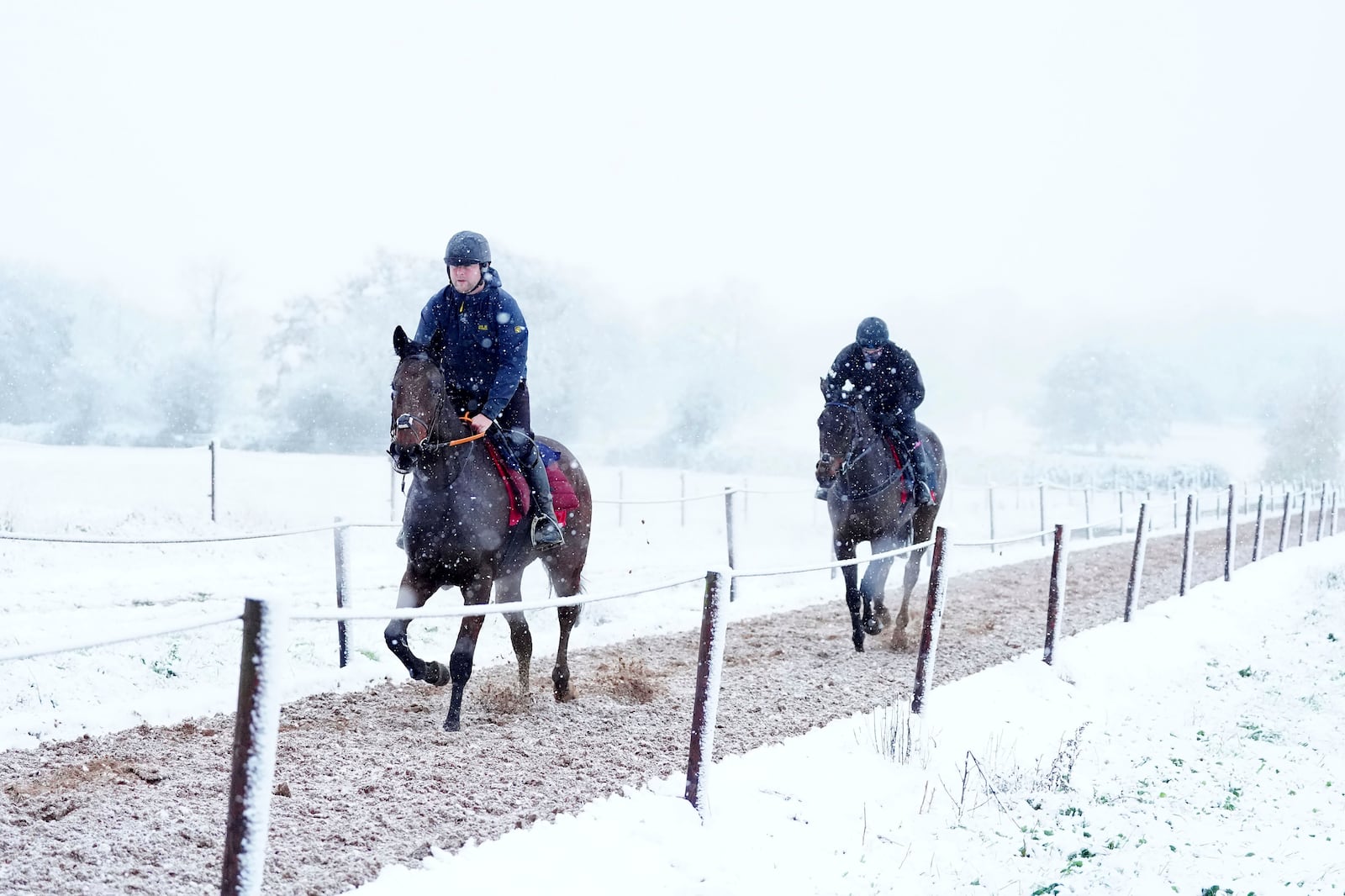 Horses on the gallops during snowfall at Sam Drinkwater's Granary Stables, Strensham, Worcestershire, Britain, Tuesday Nov. 19, 2024. PA (David Davies/PA via AP)