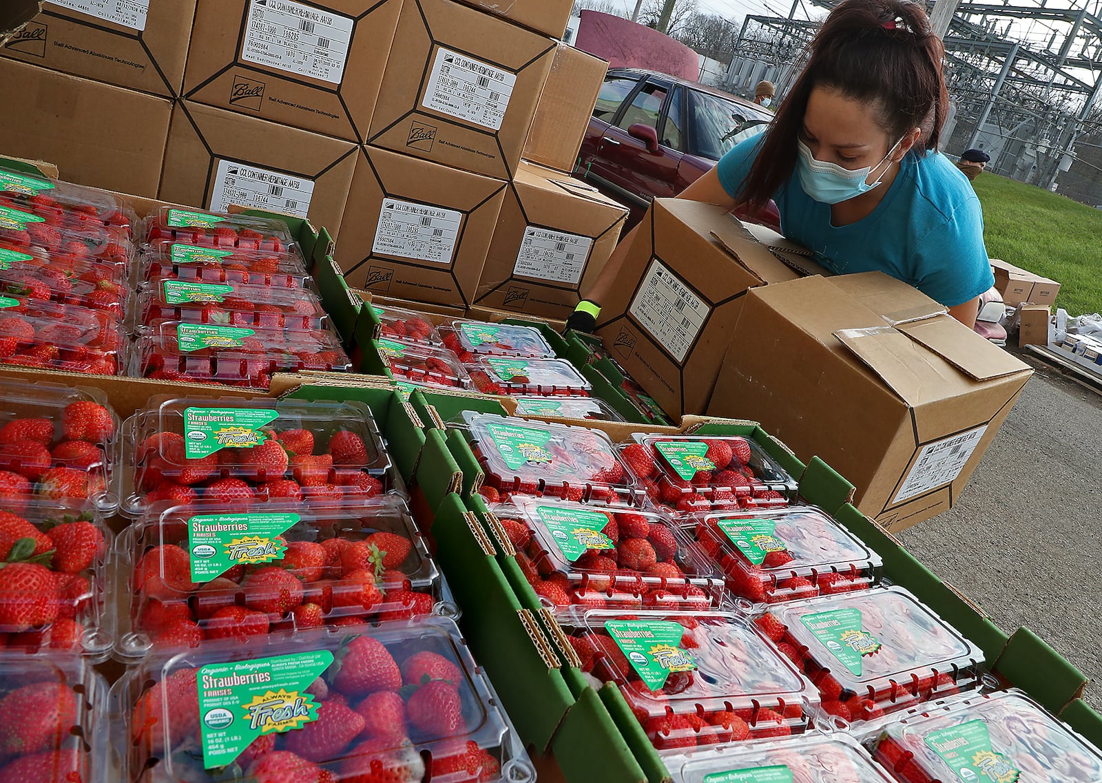 INITIAL CUTLINE: Chelsie Quesinberry picks up a case of strawberries for a car at the Second Harvest Food Bank's Thanksgiving food distribution Friday. BILL LACKEY/STAFF