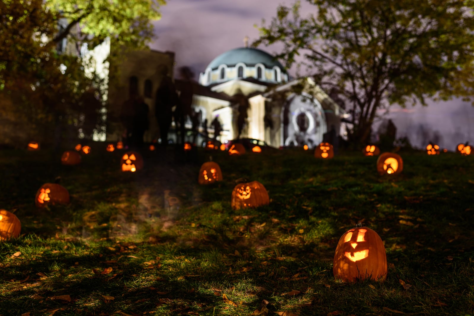 The Stoddard Avenue Pumpkin Glow was held on the hill behind Annunciation Greek Orthodox Church, located at 500 Belmonte Park North on Oct. 30 & 31, 2023. Close to 1,000 glowing pumpkins carved by volunteers illuminated on the hillside during the free community event hosted by the Grafton Hill Historic District. TOM GILLIAM / CONTRIBUTING PHOTOGRAPHER