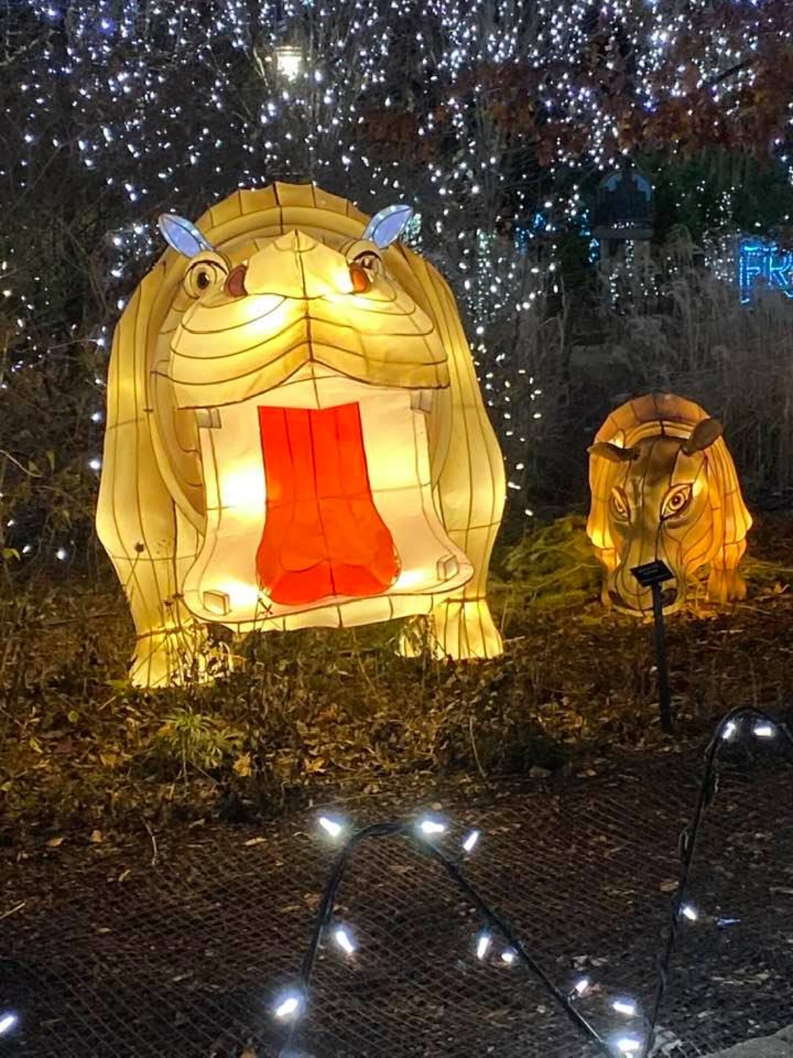 You'll find brightly lit hippos and other zoo favorites at the PNC Festival of Lights at the Cincinnati Zoo. BOB UNDERWOOD/STAFF