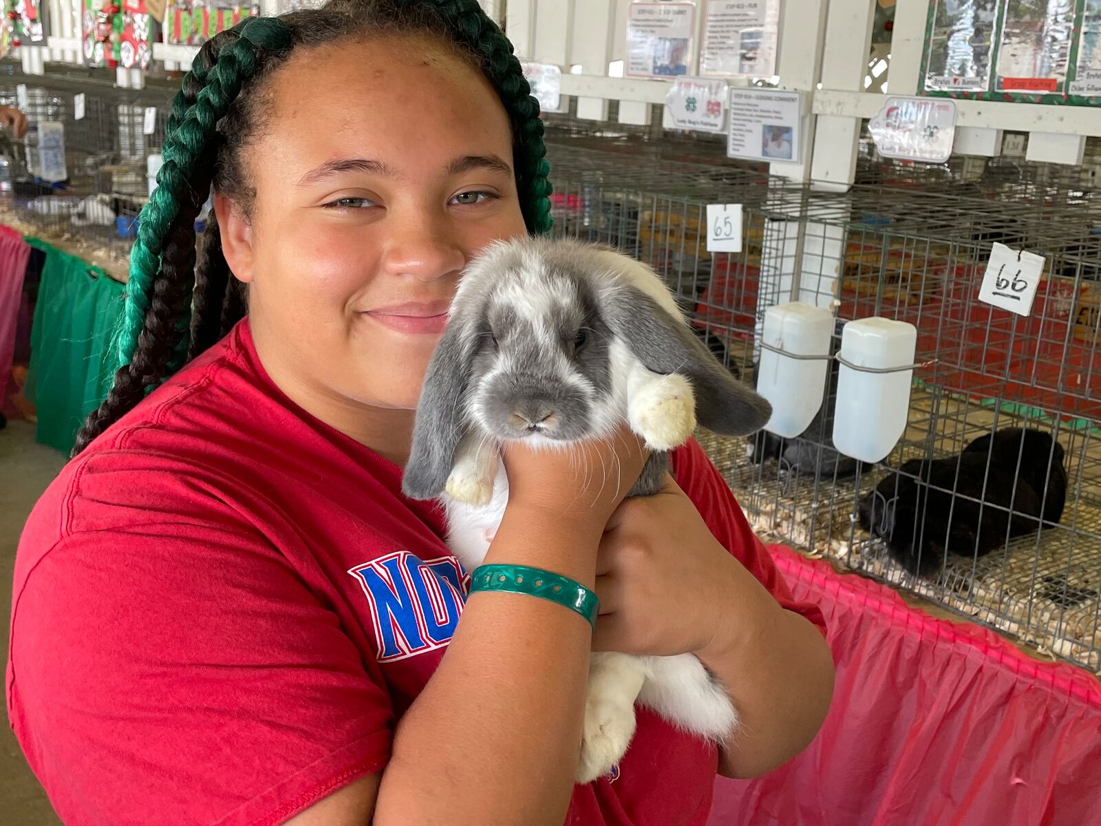 Alyssa Evans poses with her rabbit, Chevelle, at the Clark County Fair on Thursday.