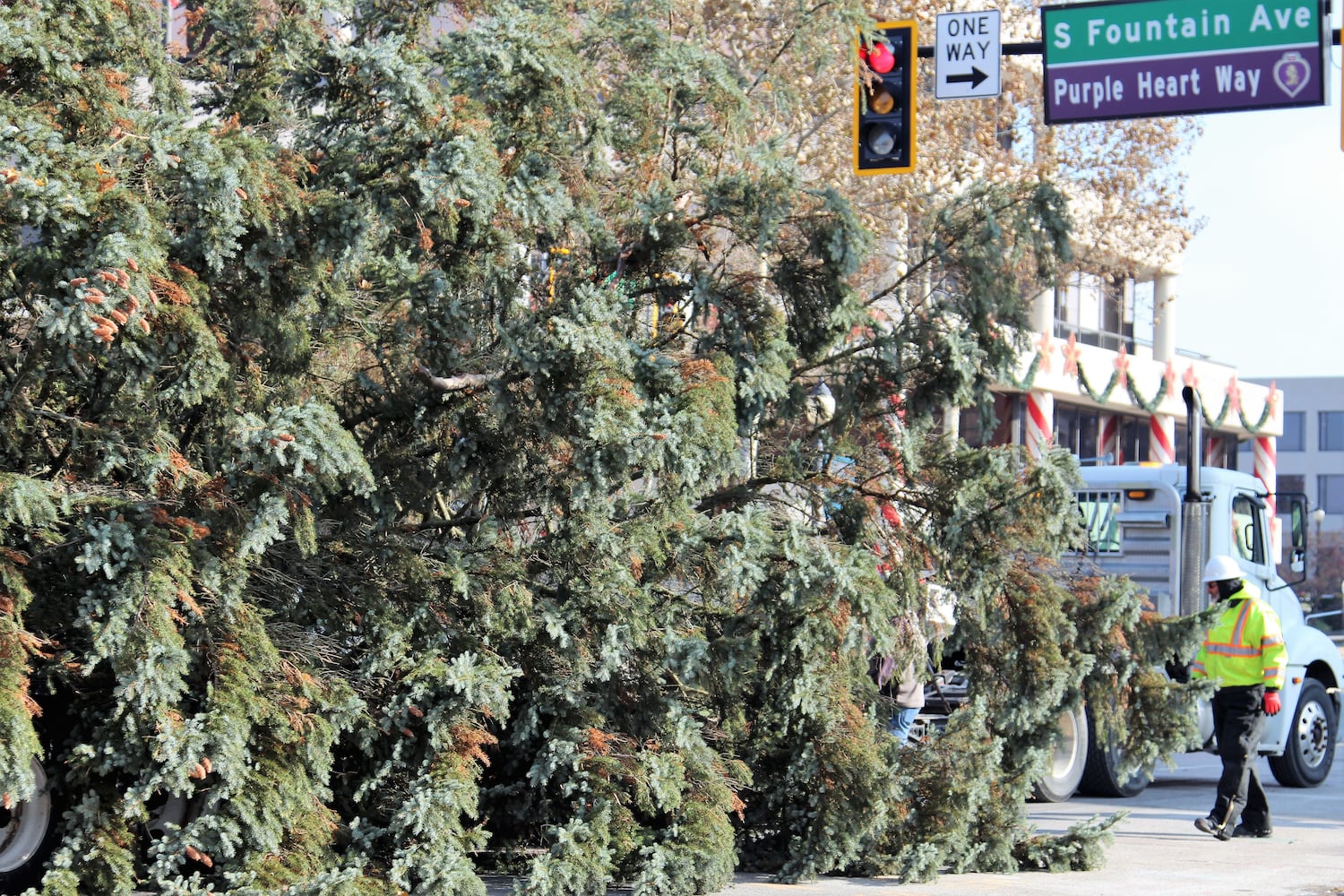 PHOTOS: Springfield Gets Holiday Tree