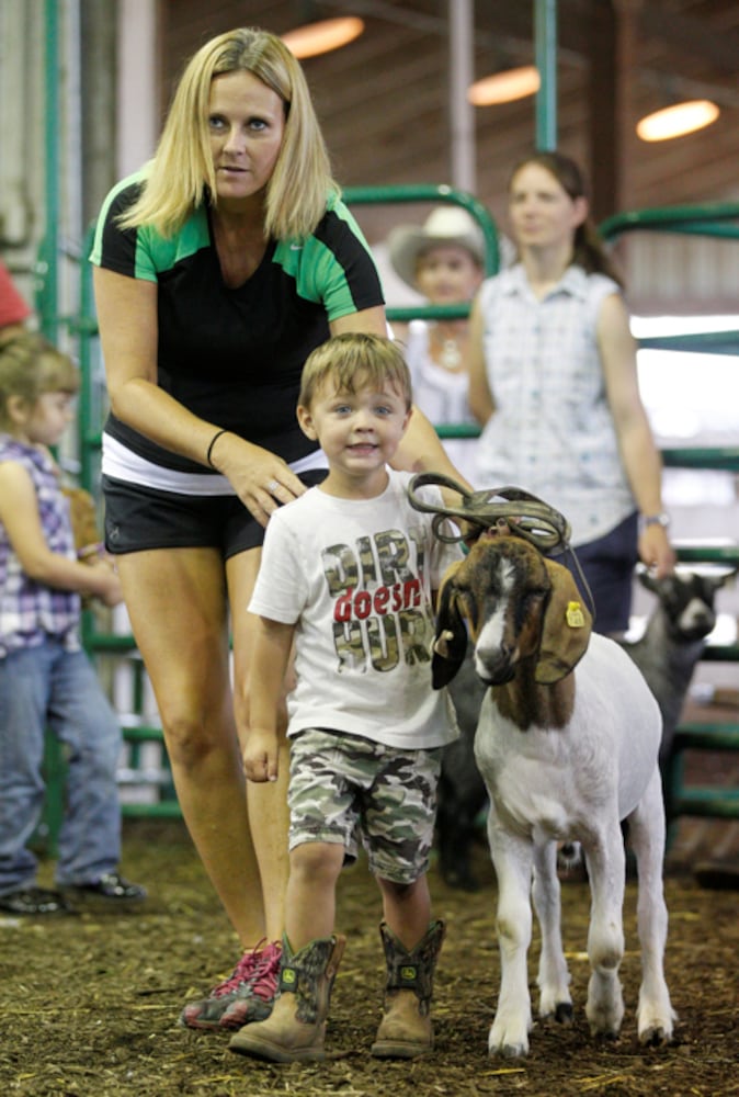 Pee Wee Goat Showmanship - Clark County Fair