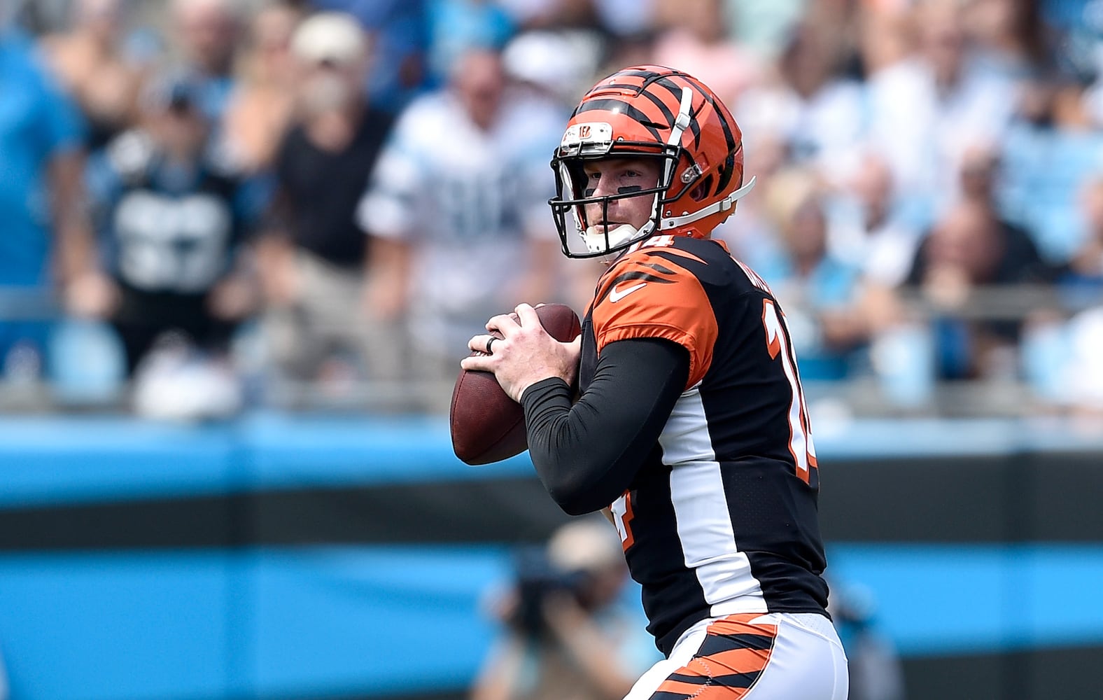 PHOTOS: Cincinnati Bengals vs. Carolina Panthers