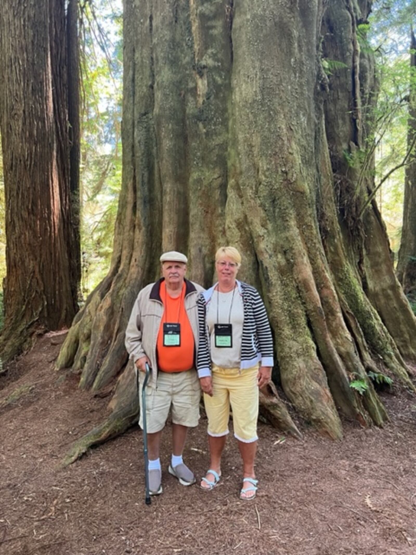 Dale and Marilyn Kissell visit the Humboldt Redwoods in California. CONTRIBUTED