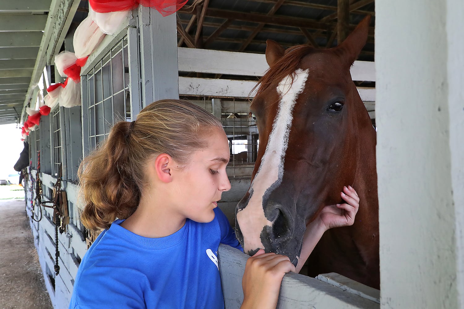 2018 Champaign County Fair Opens