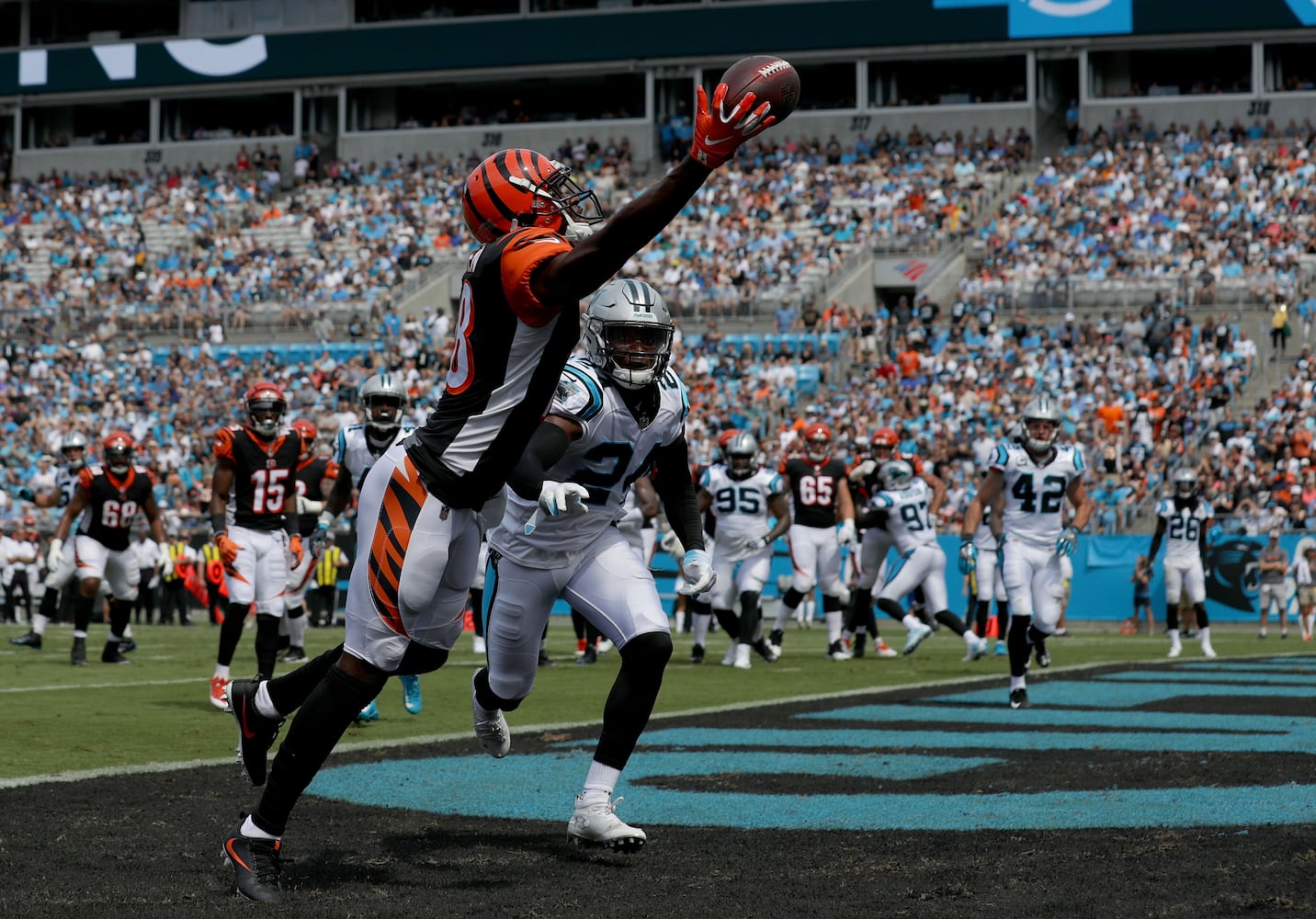 PHOTOS: Cincinnati Bengals vs. Carolina Panthers