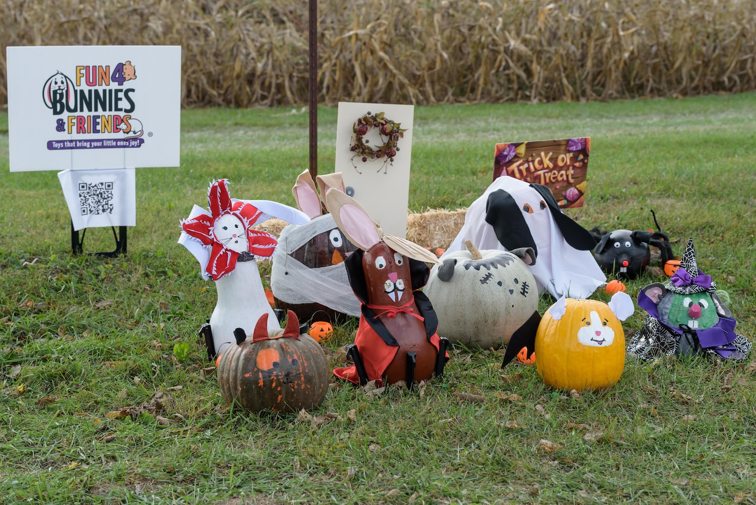 PHOTOS: 2024 Fall Farm Fest at Lost Creek Reserve in Troy