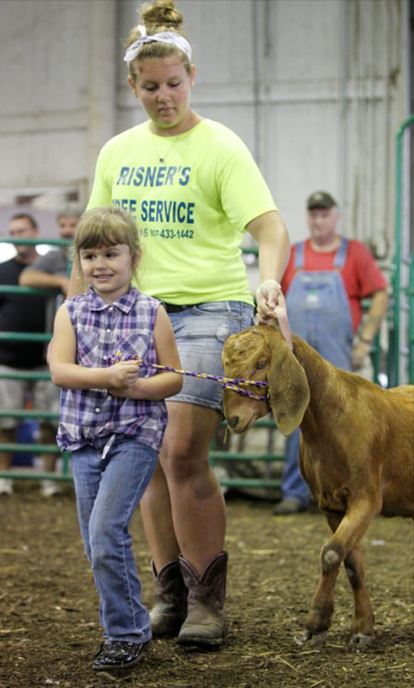 Pee Wee Goat Showmanship - Clark County Fair