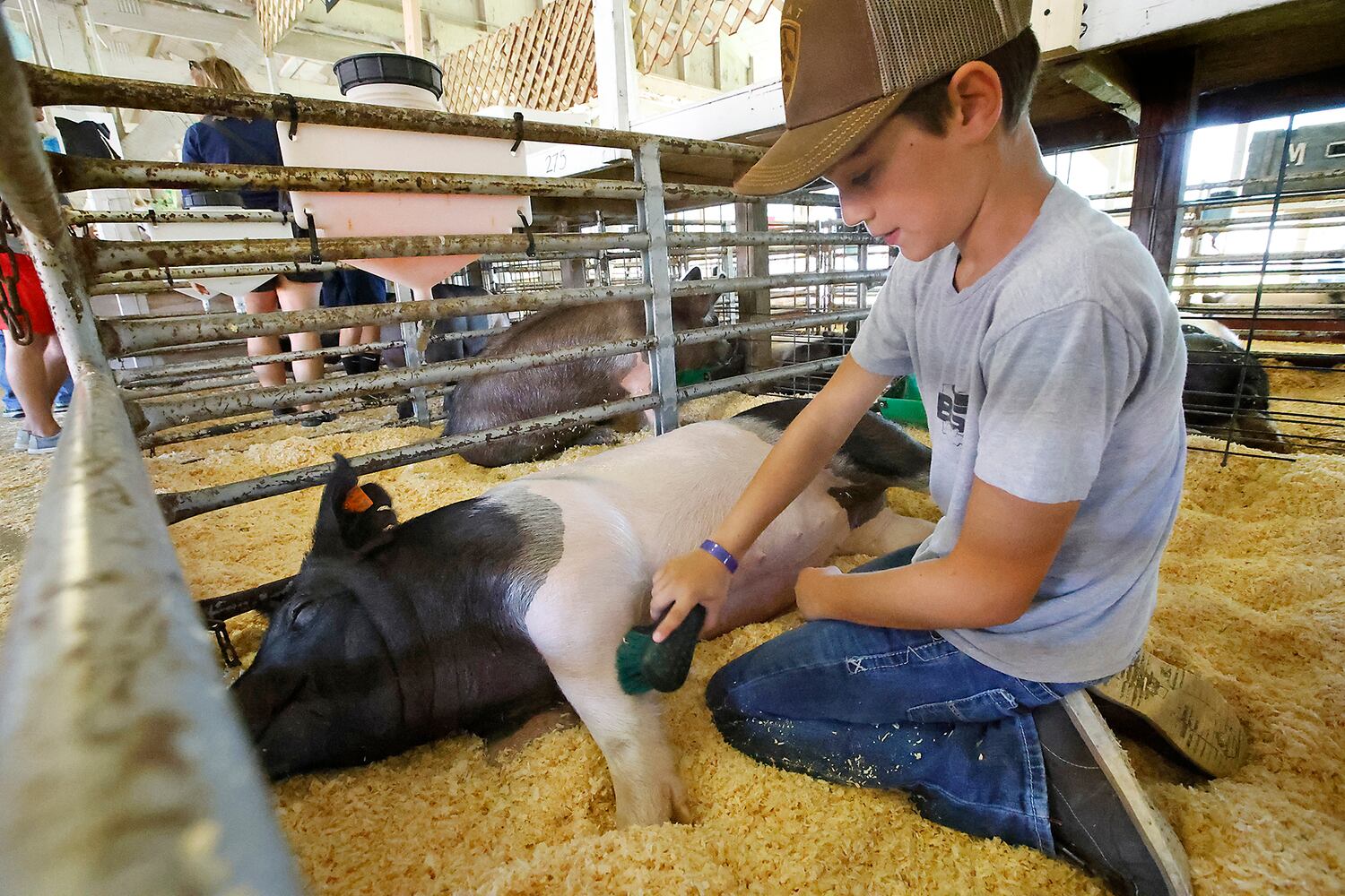 Clark County Fair SNS