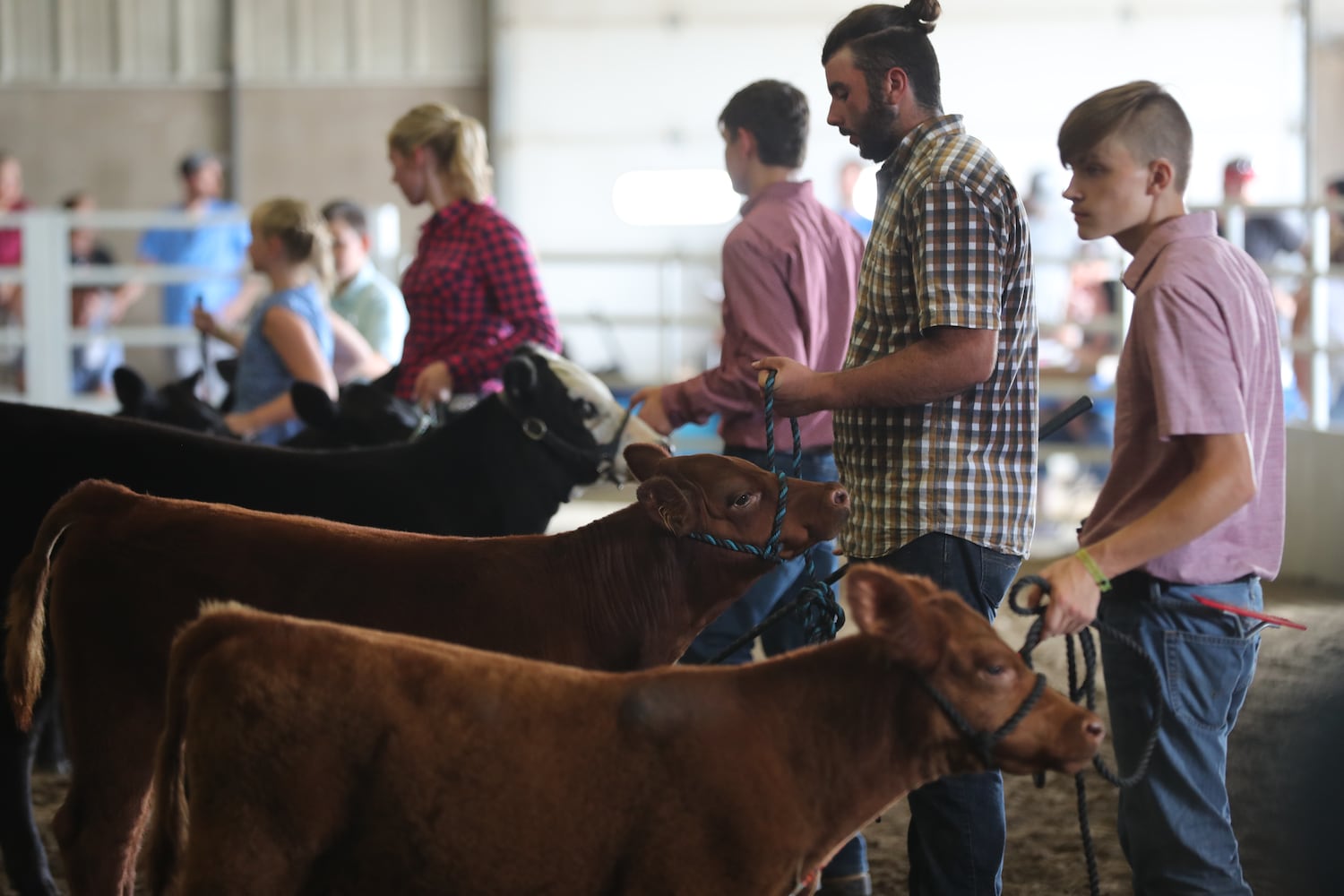 85 PHOTOS: 2019 Clark County Fair