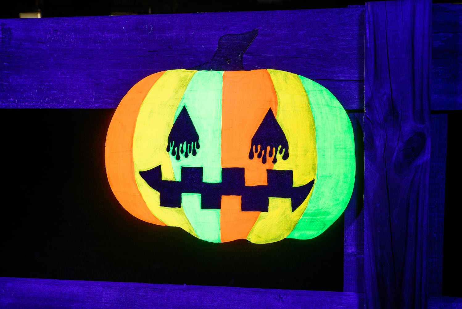 PHOTOS: 2024 Pumpkin Glow at Caesar Ford Park