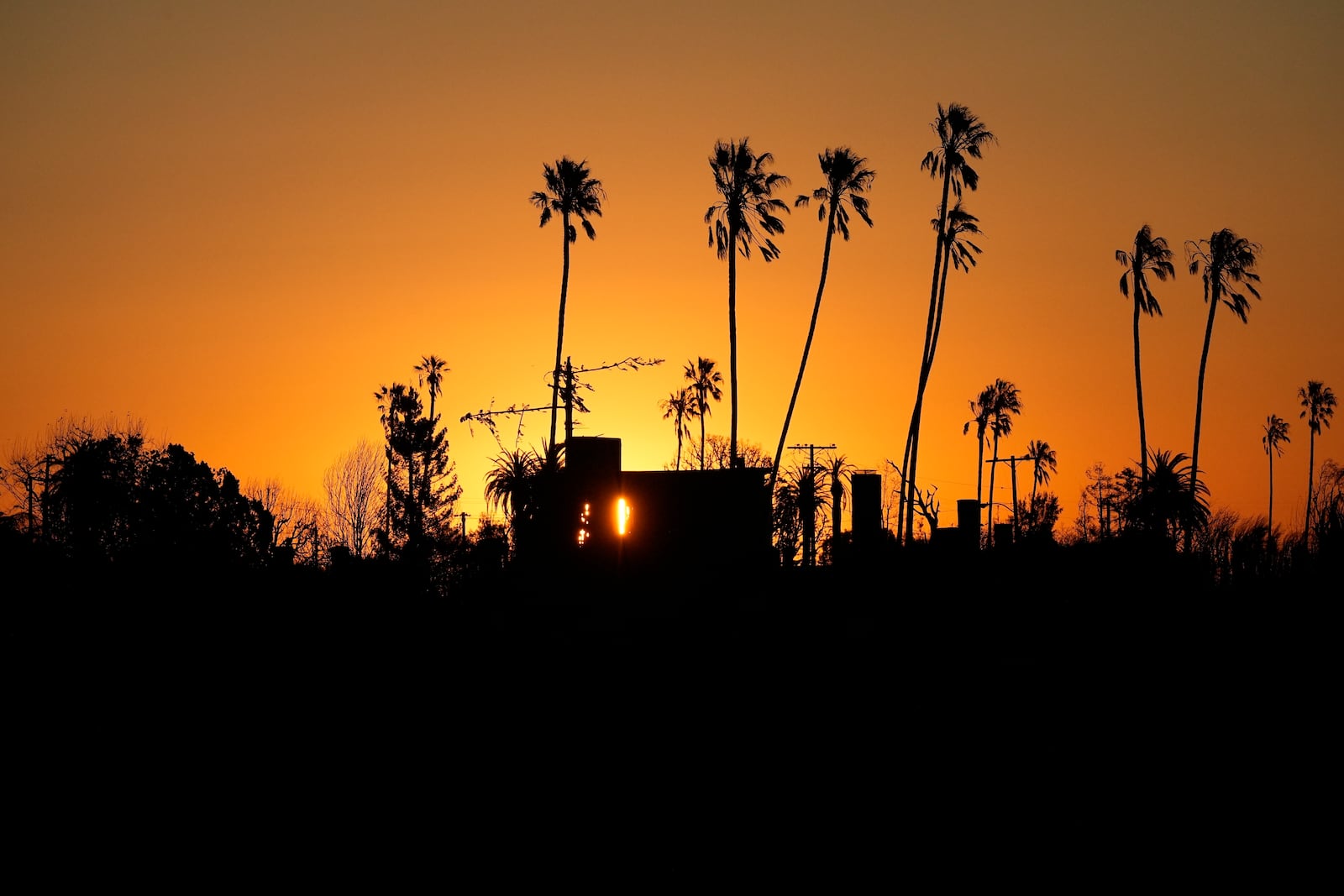 The Sun rises over homes destroyed by the Palisades Fire in the Pacific Palisades neighborhood of Los Angeles, Thursday, Jan. 16, 2025. (AP Photo/Damian Dovarganes)