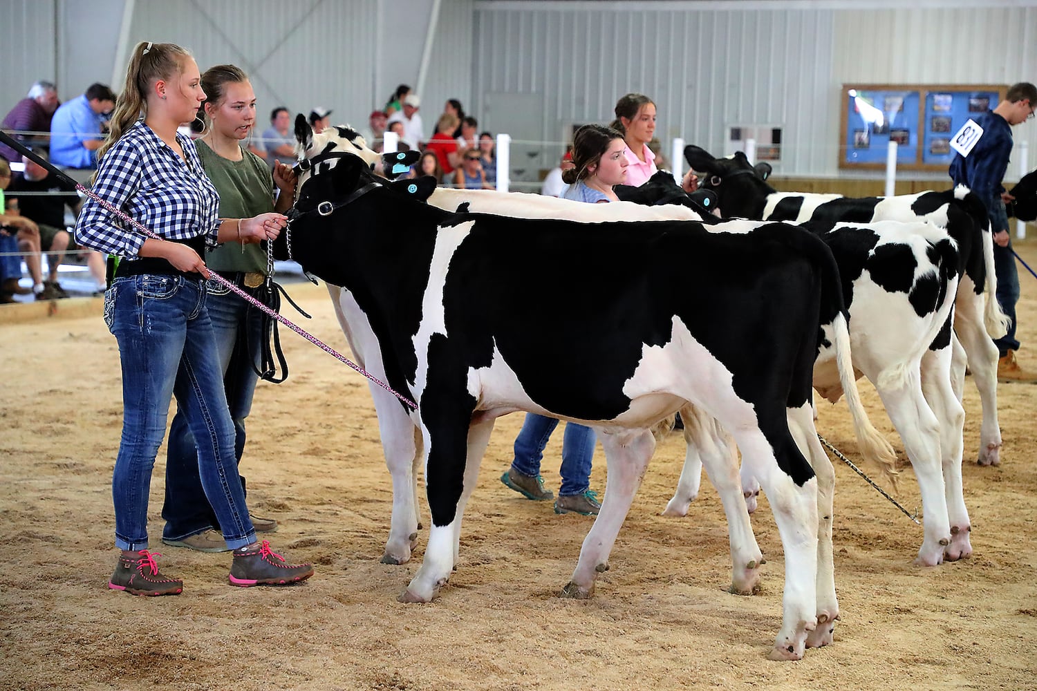 PHOTOS: 2019 Champaign County Fair Opens