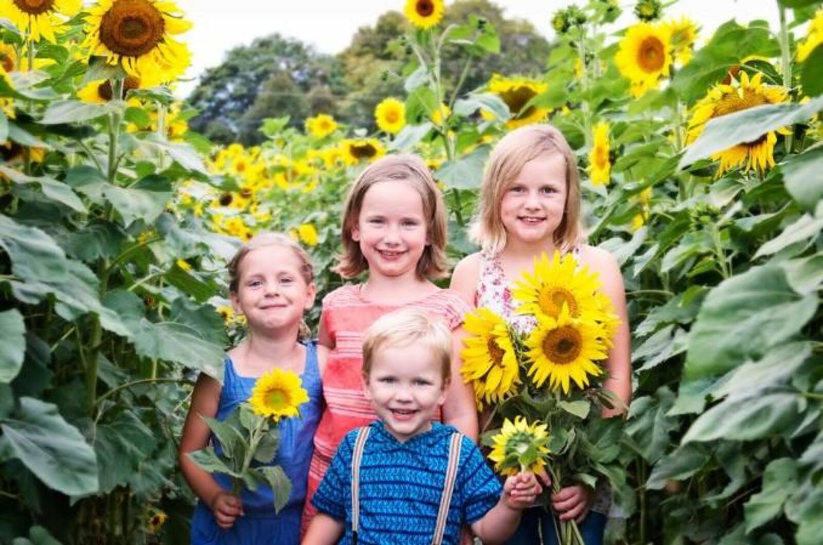 The Burwinkel Farms sunflower field is a picture-perfect setting for fall family photos. CONTRIBUTED