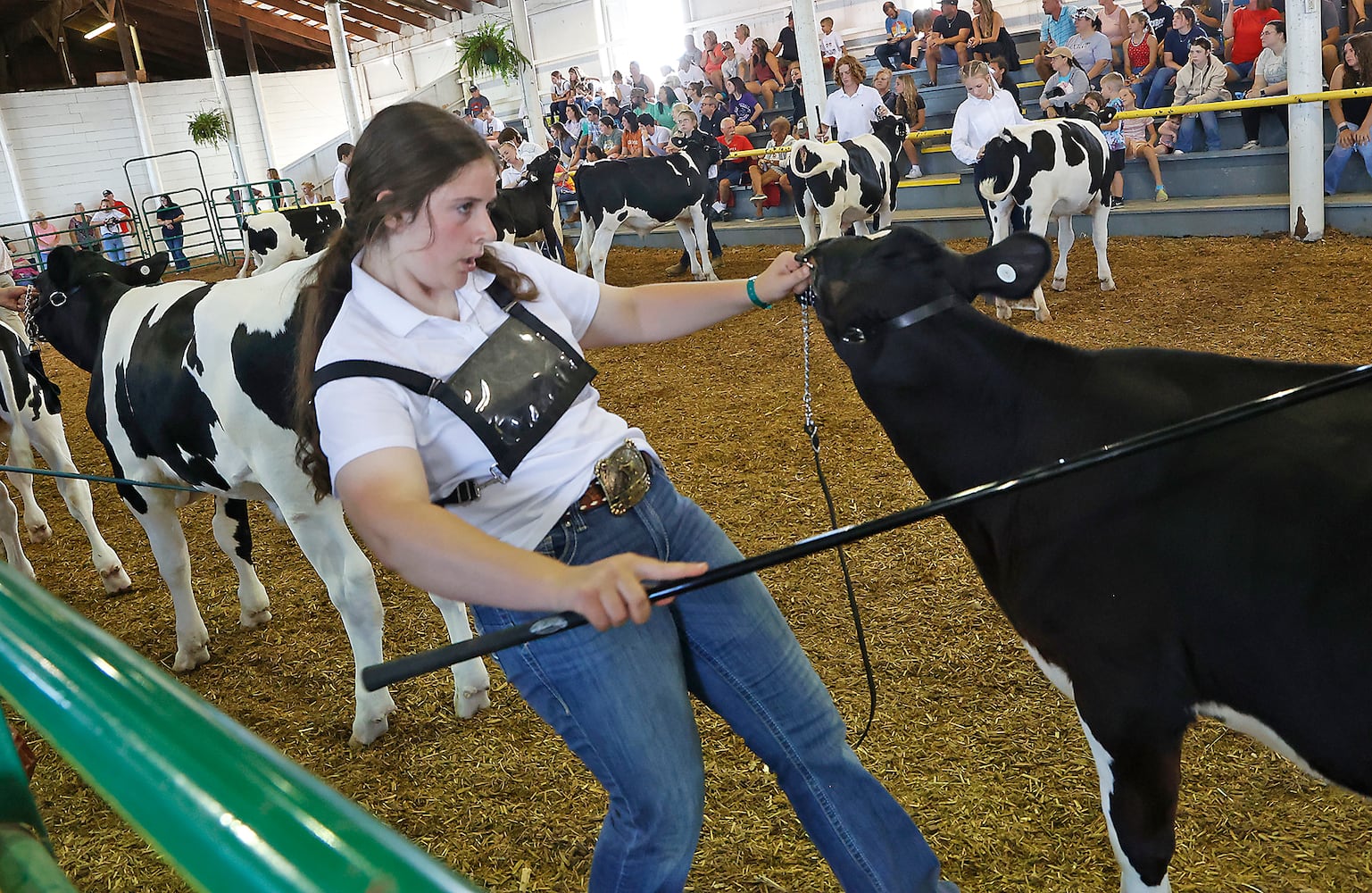 Best of the 2023 Clark County Fair