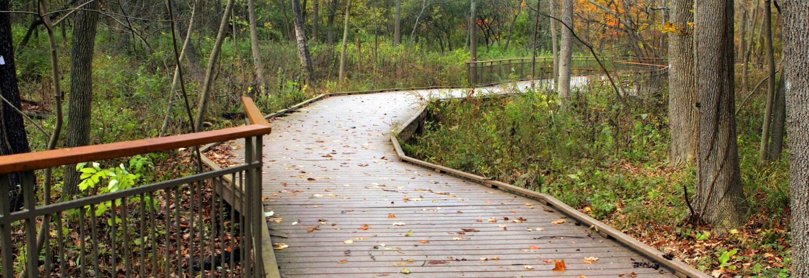 The Adirondack Trail in Hills and Dales MetroPark takes hikers through ravines covered in mature and young hardwood forest. FILE