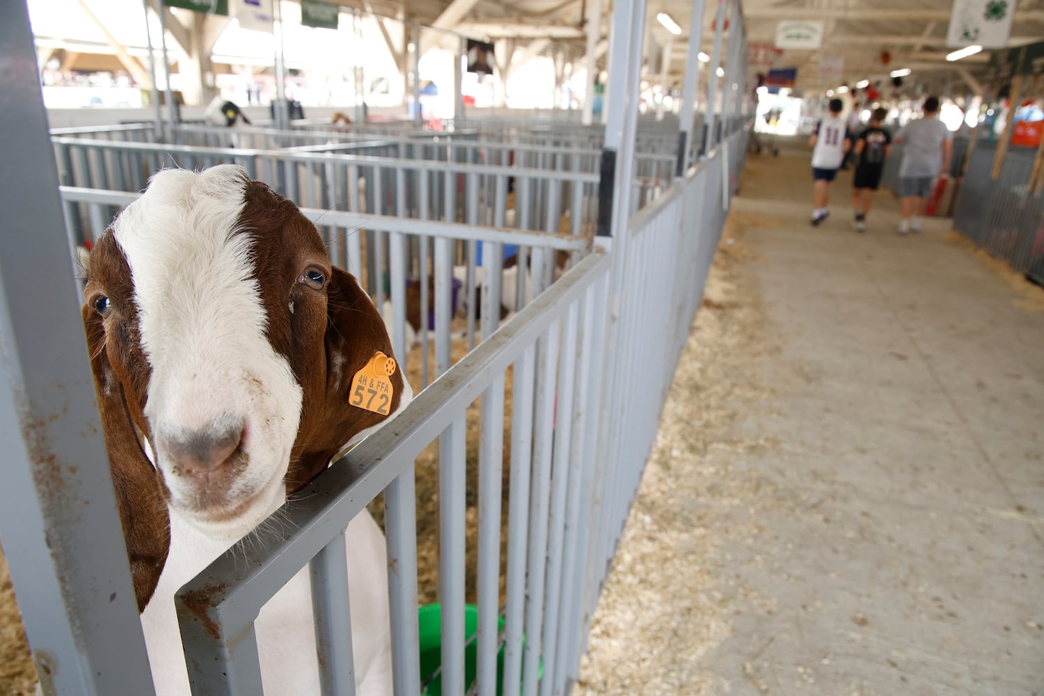 072224 Clark County Fair SNS