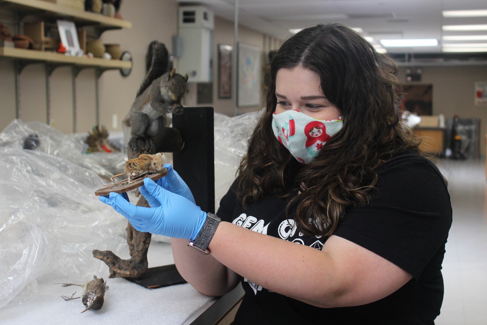 The Boonshoft Museum of Discovery closed to the public on May 15.  Anna Helmig, collections manager and registrar, hold a taxidermy moose found with a taxidermy bear during cleaning.