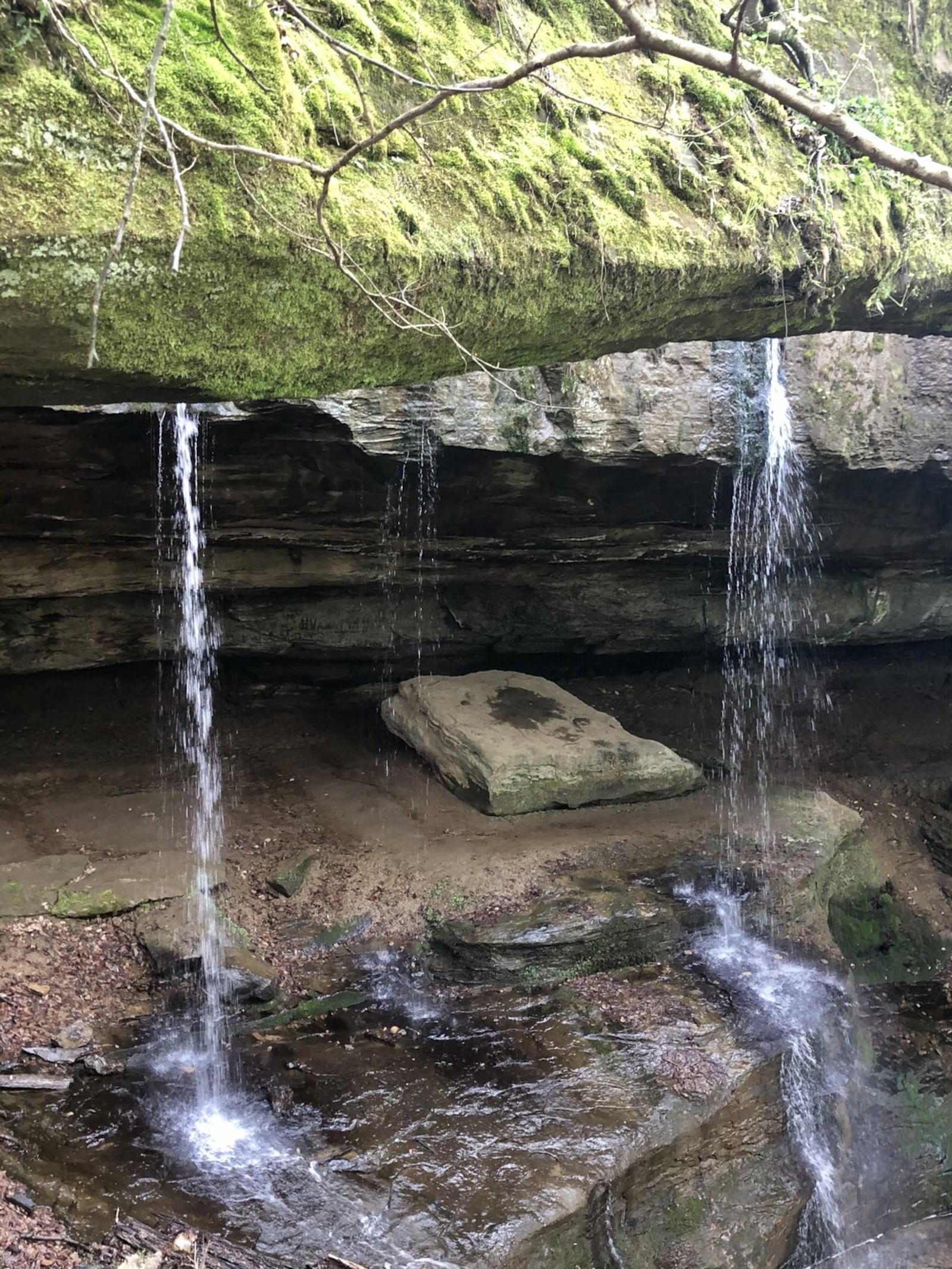 You’ll find scenic trails at Rockbridge State Nature Preserve. CONTRIBUTED/DEBBIE JUNIEWICZ