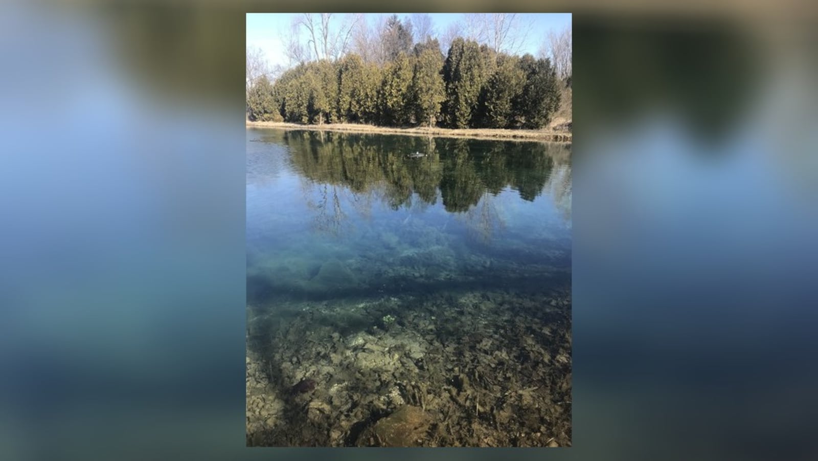 Pointe North Nature Park, 2200 N. U.S. Highway 68, will reopen to the public on weekends starting Jan. 4. It has been closed to the public since May 2020 after some visitors overfished the ponds, dumped trash and rutted the grounds with four wheelers. In this photo is the Cedar Fen Spring Pond. Contributed