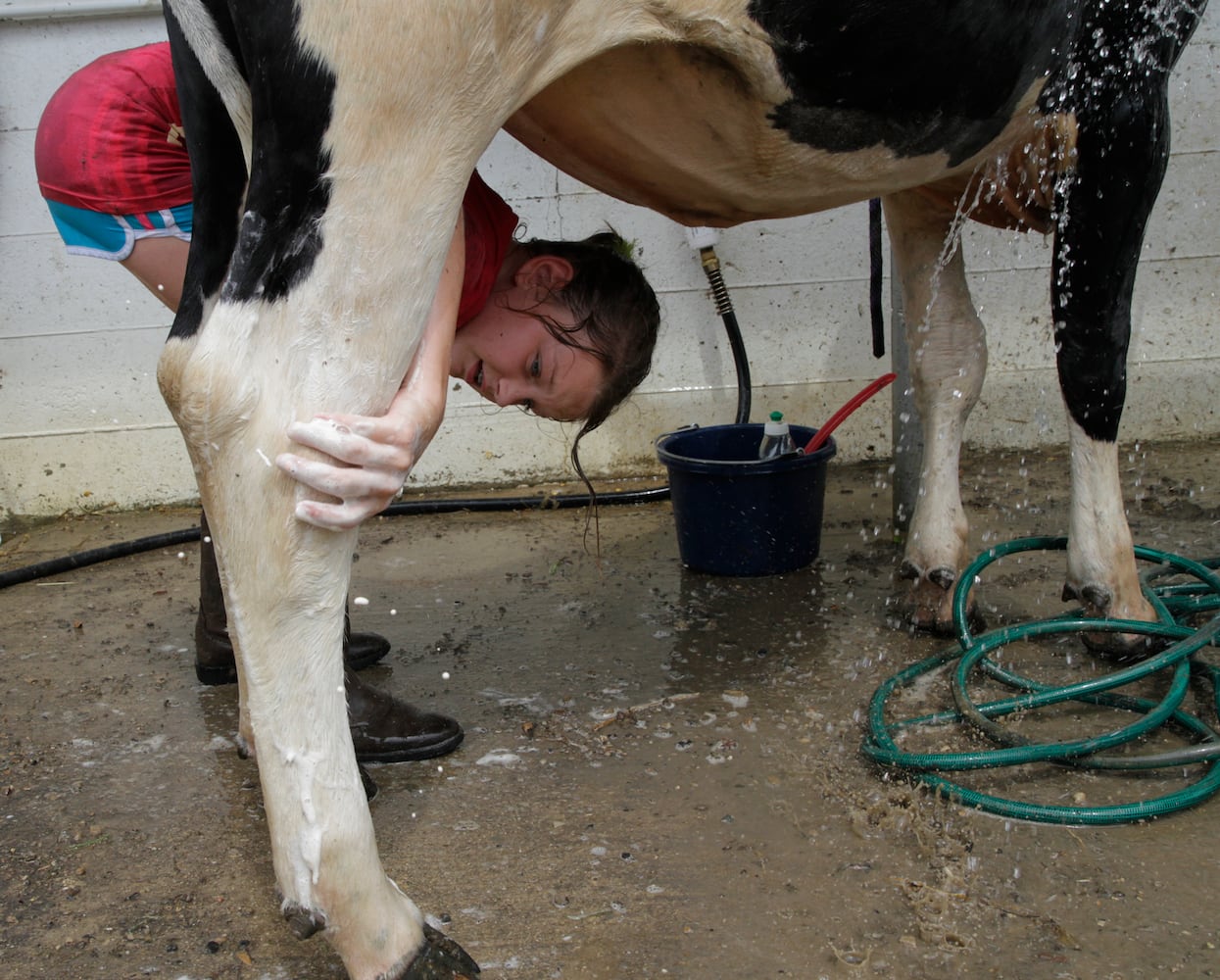 Clark County Fair