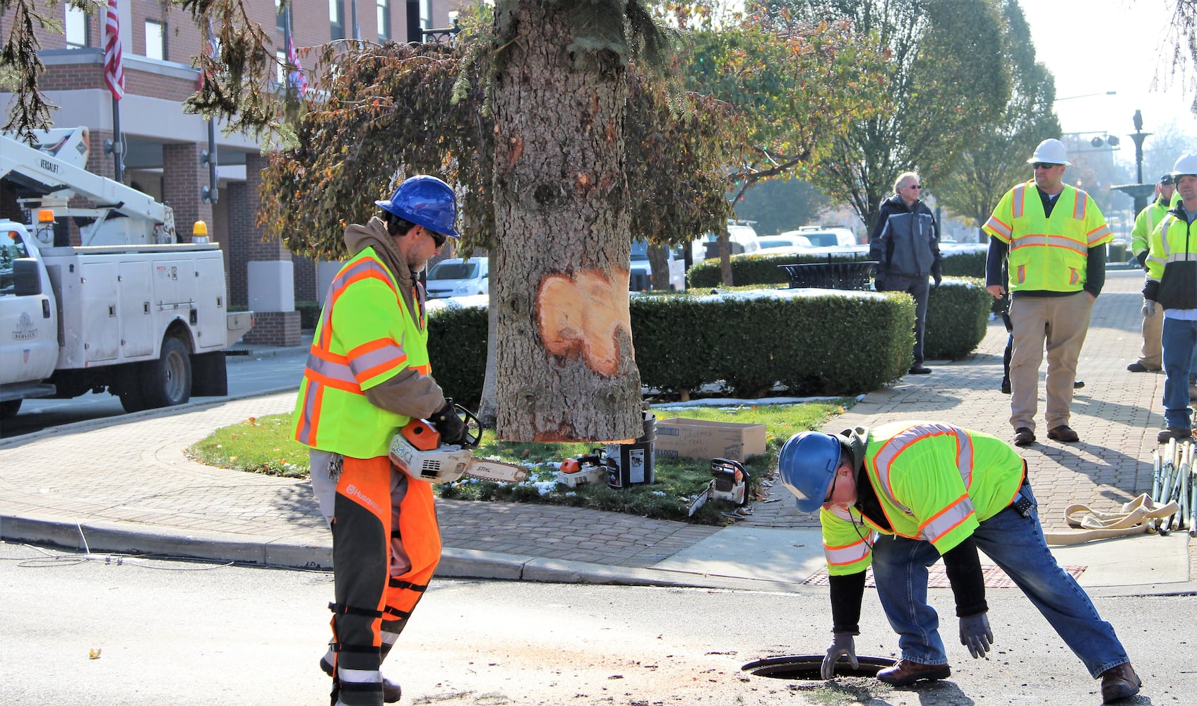 PHOTOS: Springfield Gets Holiday Tree