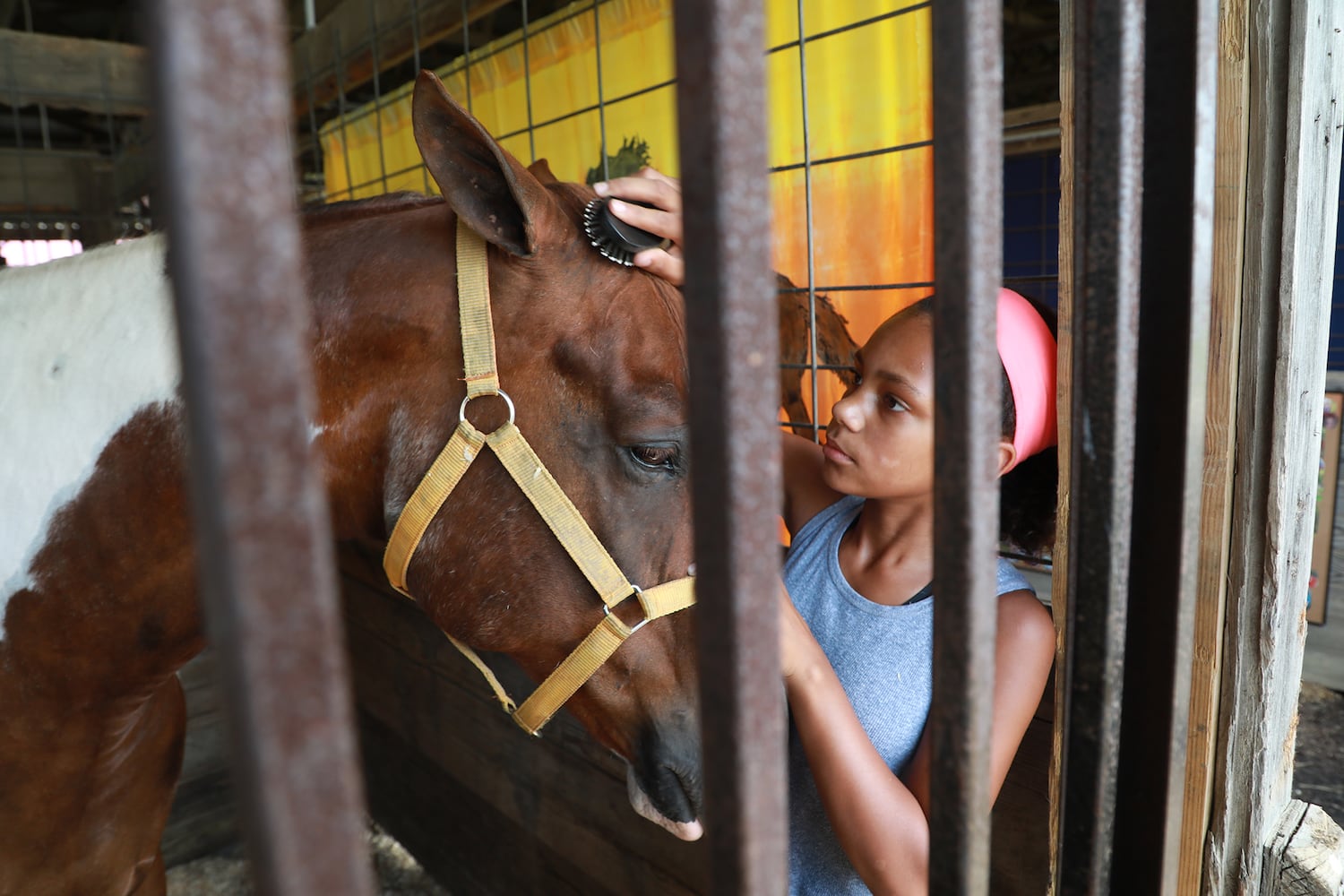 85 PHOTOS: 2019 Clark County Fair