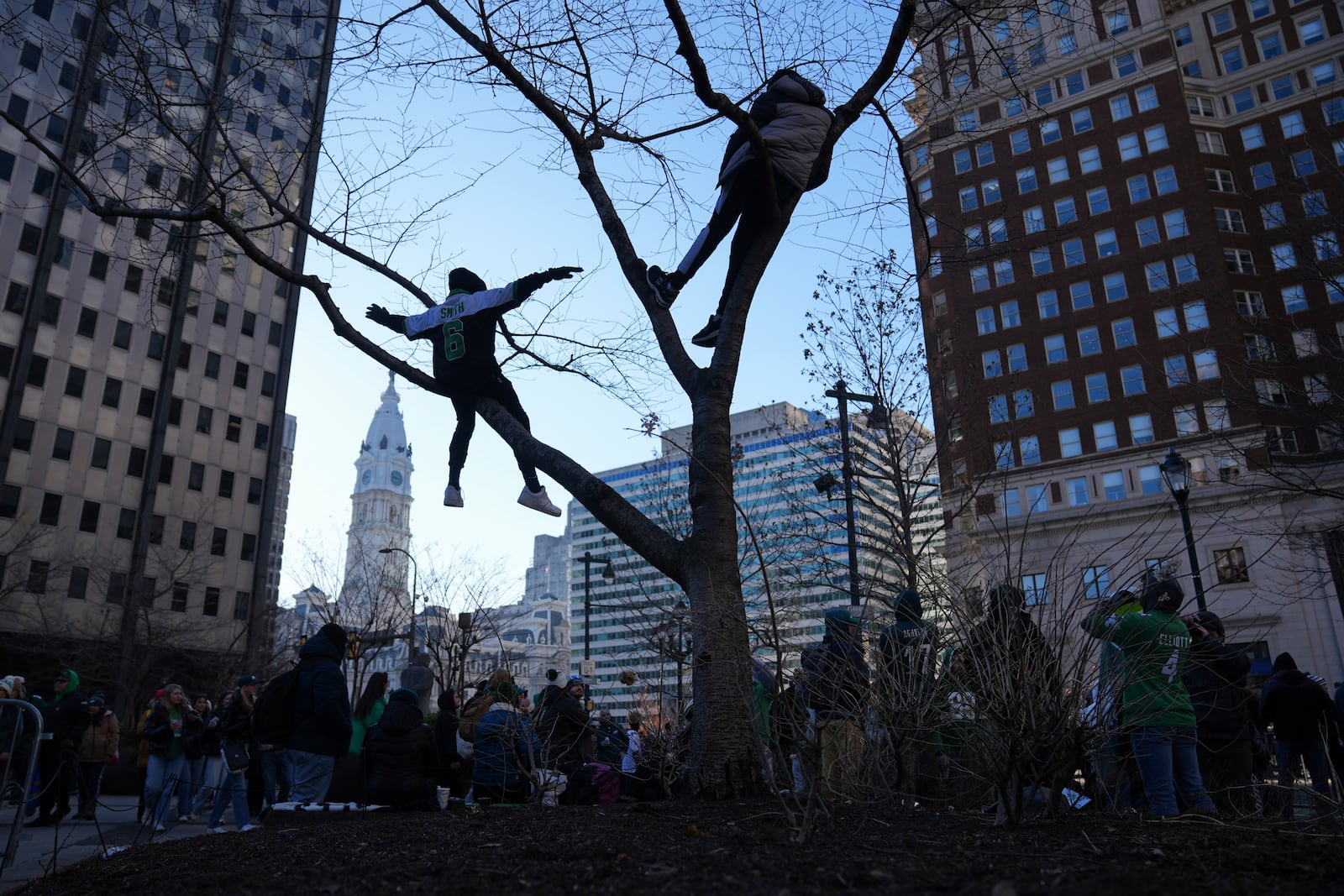 Fans climb up on a tree as they wait before the Philadelphia Eagles NFL football Super Bowl 59 parade and celebration, Friday, Feb. 14, 2025, in Philadelphia. (AP Photo/Matt Rourke)