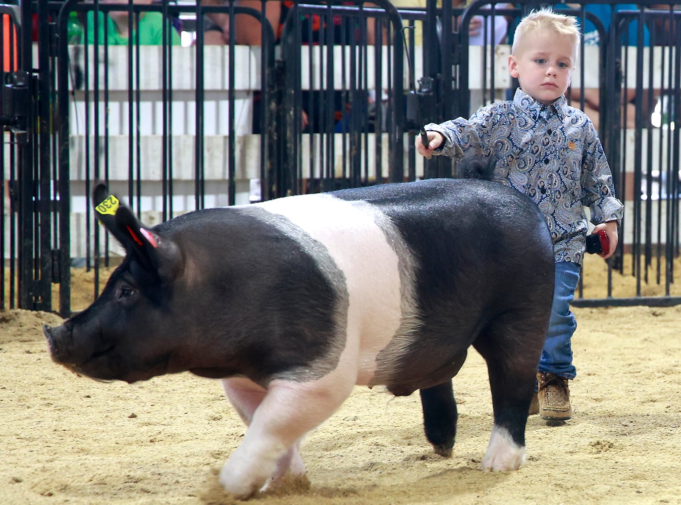 072524 Clark County Fair SNS