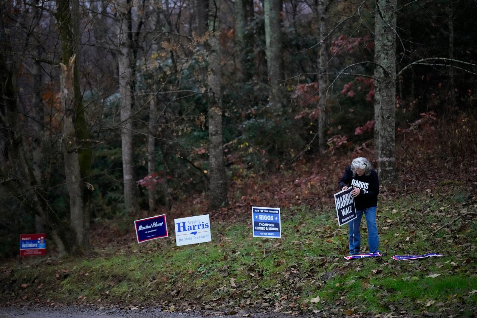 Campaign signs are put out outside of a polling site on Election Day, Tuesday, Nov. 5, 2024, in Black Mountain, N.C. (AP Photo/George Walker IV)