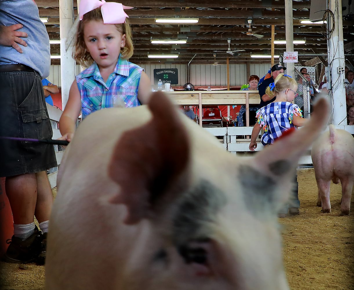 PHOTOS: 2019 Clark County Fair Day 1