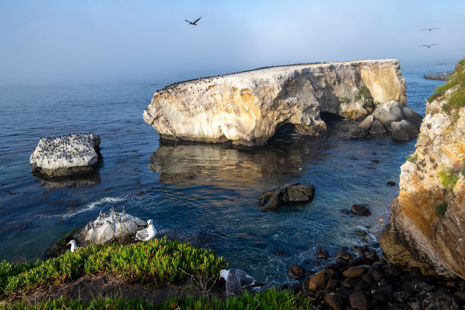 Chumash Heritage National Marine Sanctuary, Seabird Rock near Dinosaur Caves Park, Pismo Beach, Calif. on Monday, October. 14, 2024. (Robert Schwemmer via AP)