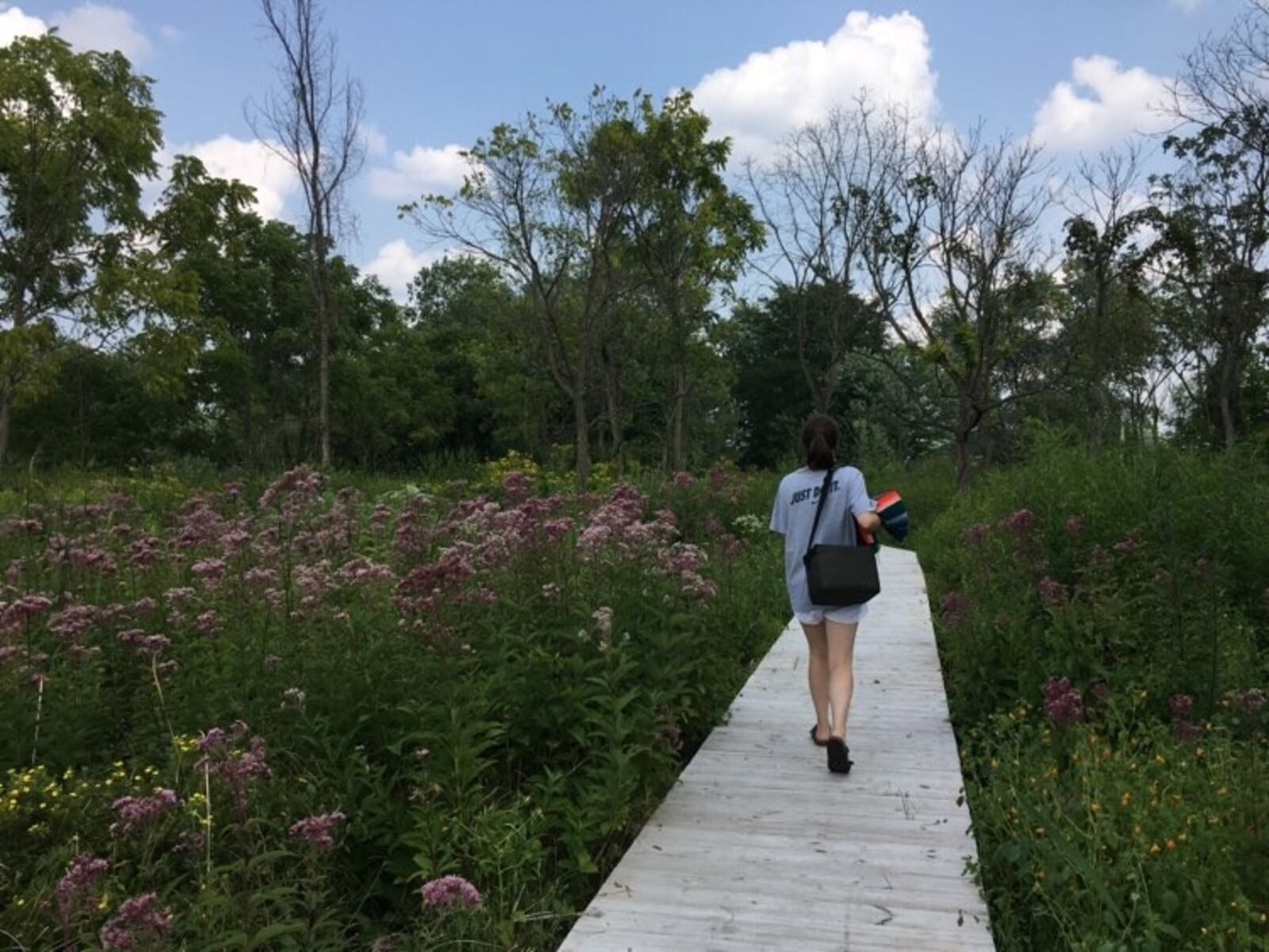 Pearl's Fen is Dayton's newest wetland, now open to the public.