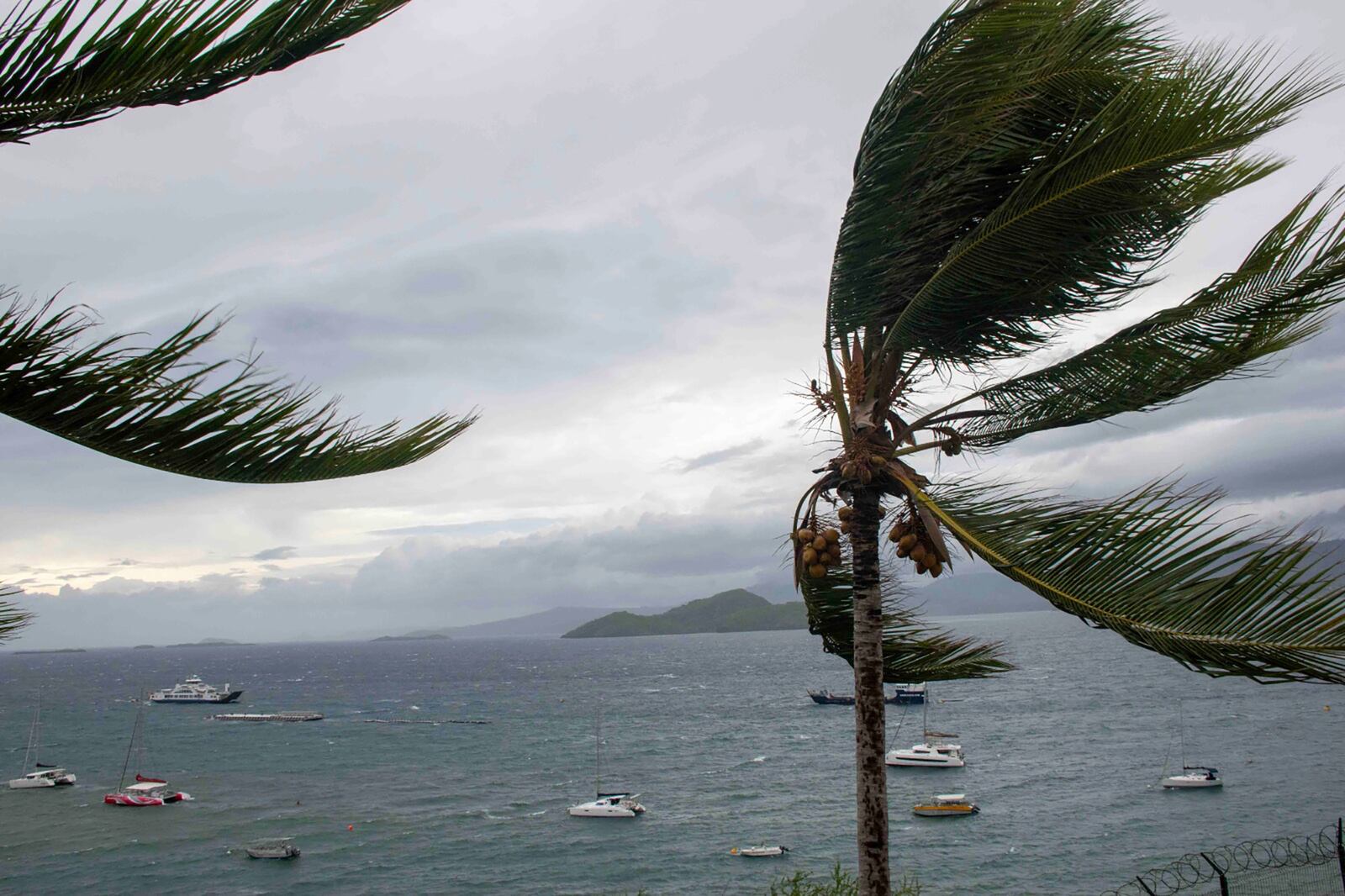 This photo provided Sunday Dec.15, 2024 by the French Army shows palm tress during strong winds in the French territory of Mayotte in the Indian Ocean, after Cyclone Chido caused extensive damage with reports of several fatalities, Saturday Dec.14, 2024. (Etat Major des Armées via AP)