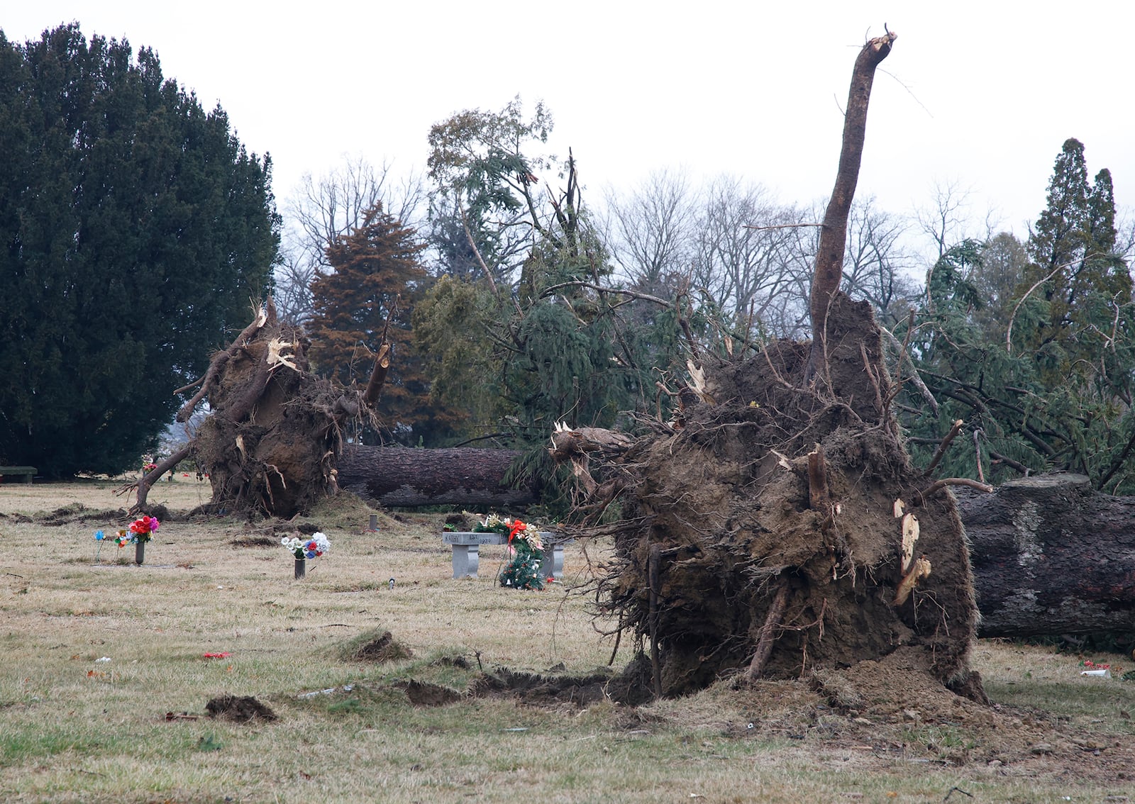 Several trees are toppled over at Rosehill Cemetery along Route 41 after Wednesday's possible tornado. BILL LACKEY/STAFF