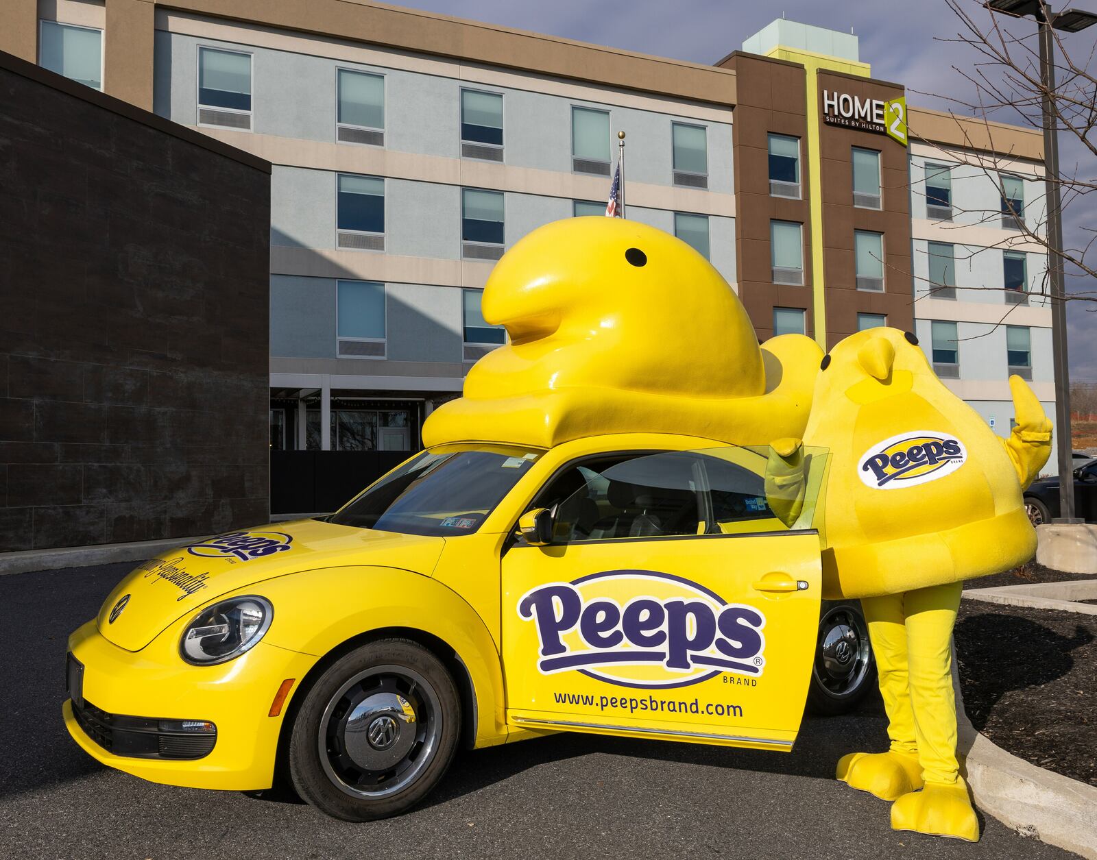 The PEEPS Chick Mascot is seen outside Home2 Suites by Hilton Easton in Pennsylvania. CONTRIBUTED/PEEPS