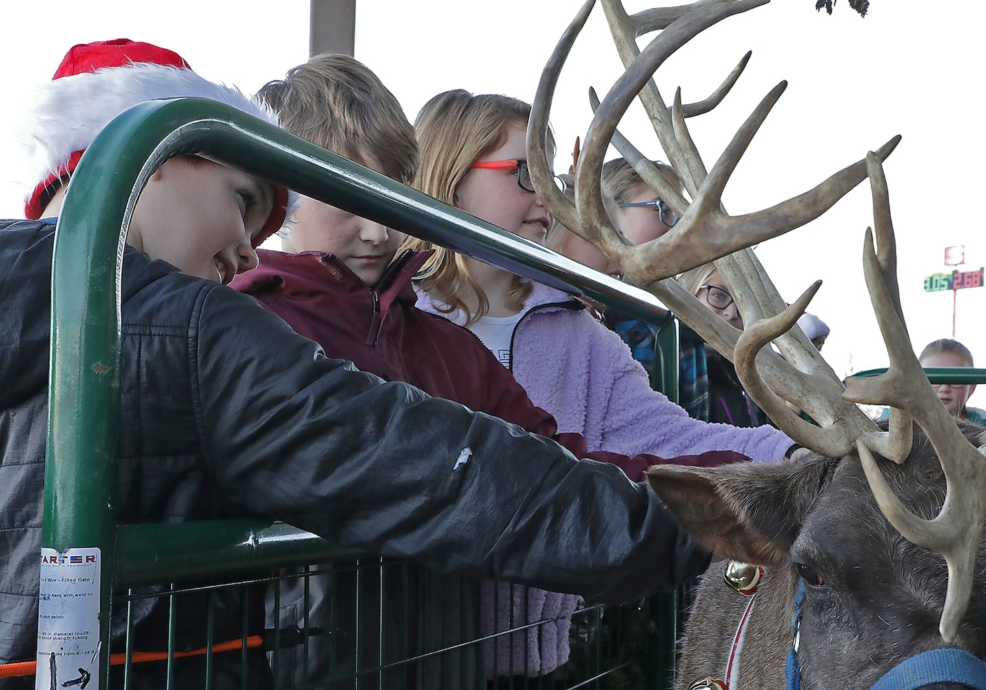 PHOTOS: Reindeers Visit South Vienna School