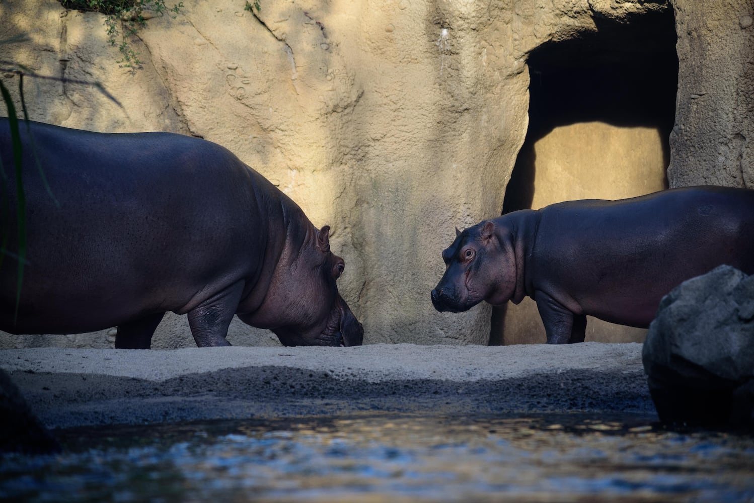 BEHIND THE SCENES: Take a look at what Fiona and Bibi are up to after hours