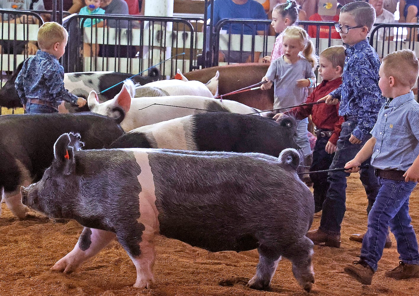 072823 Clark County Fair SNS