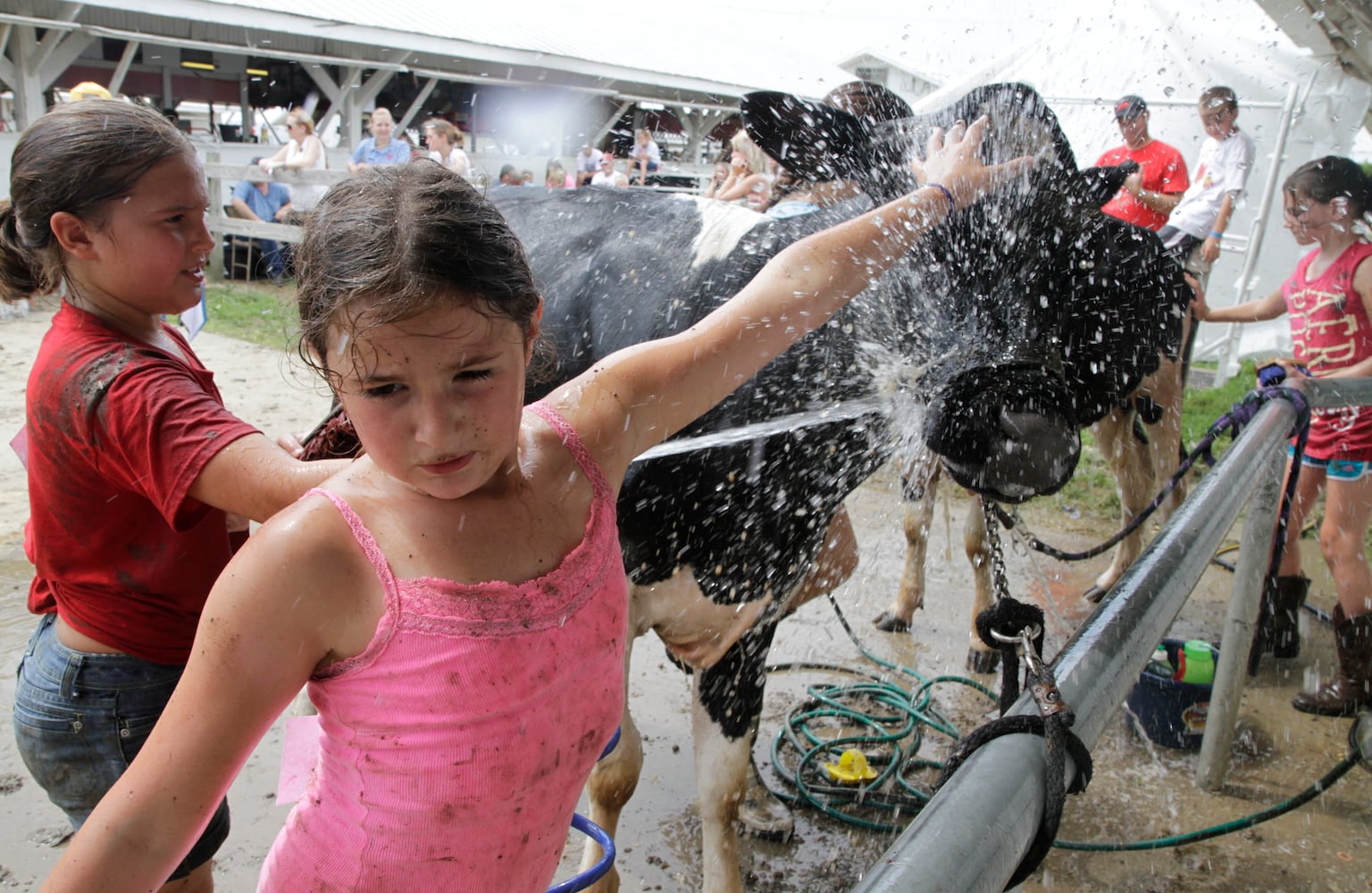 Clark County Fair