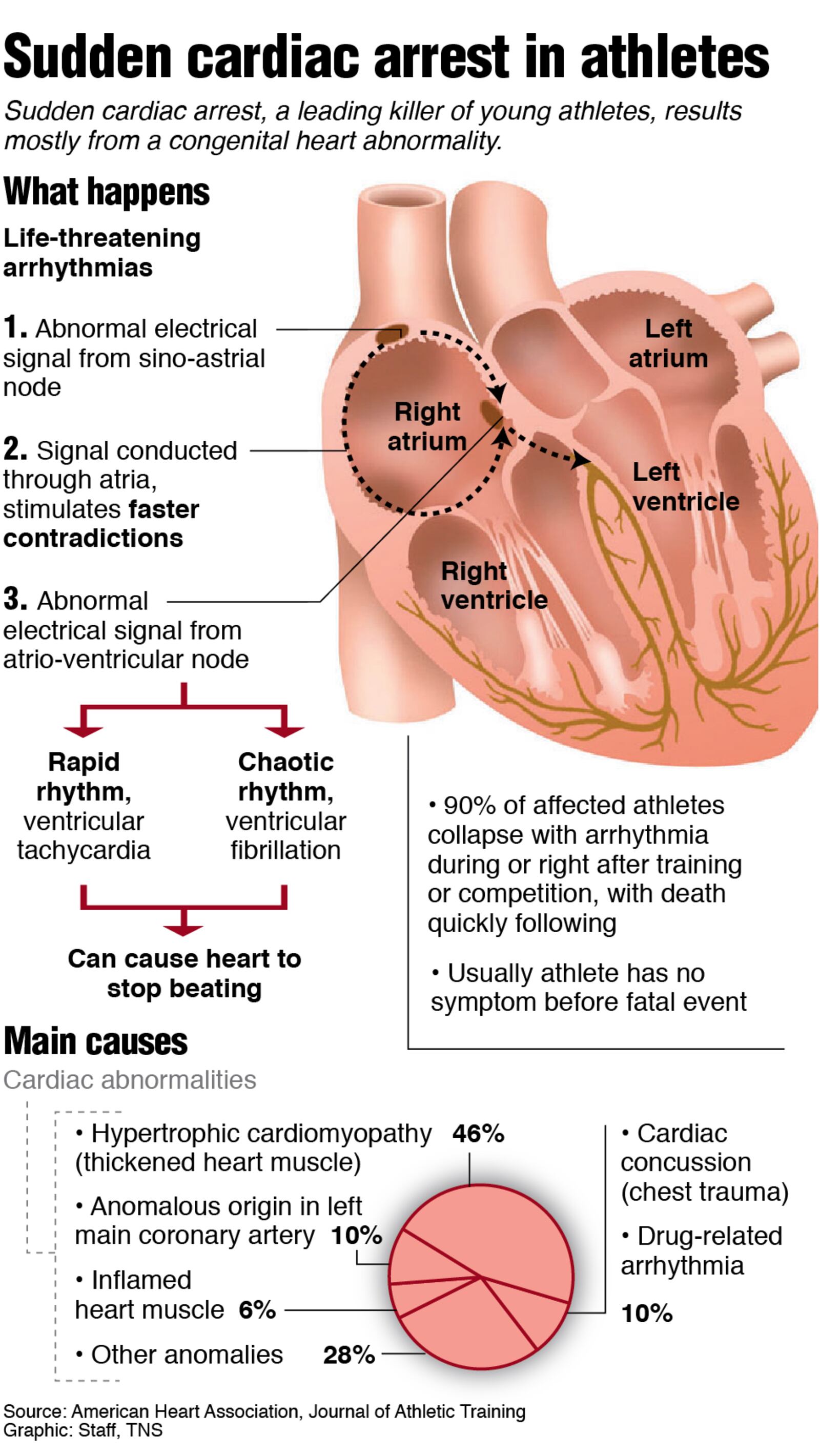 Graphic showing main causes of cardiac abnormalities