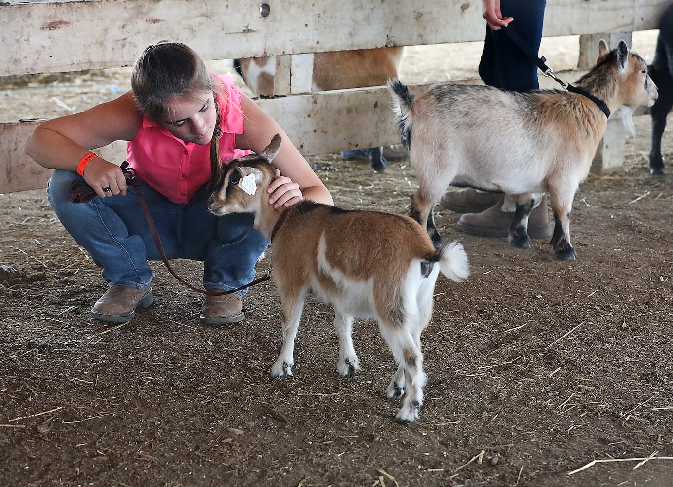 2018 Clark County Fair Day 4