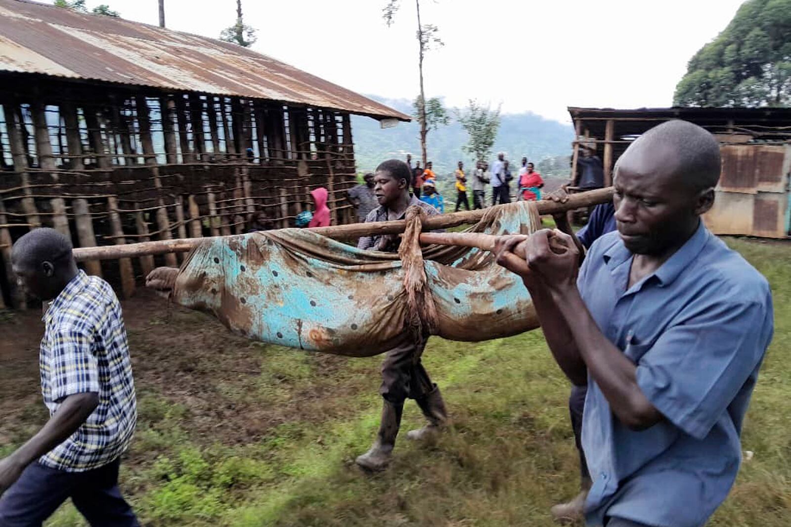 Rescue workers carry bodies after a landslide following heavy rains that buried 40 homes in the mountainous district of Bulambuli, eastern Uganda, Thursday, Nov. 28. 2024. (AP Photo/Jean Watala)