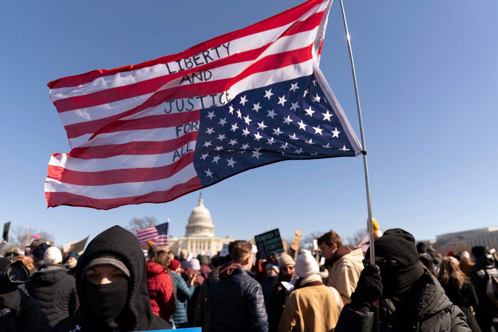 Demonstrators rally during the "No Kings Day" protest on Presidents Day in Washington, in support of federal workers and against recent actions by President Donald Trump and Elon Musk, on Capitol Hill in Washington Monday, Feb. 17, 2025. (AP Photo/Jose Luis Magana)